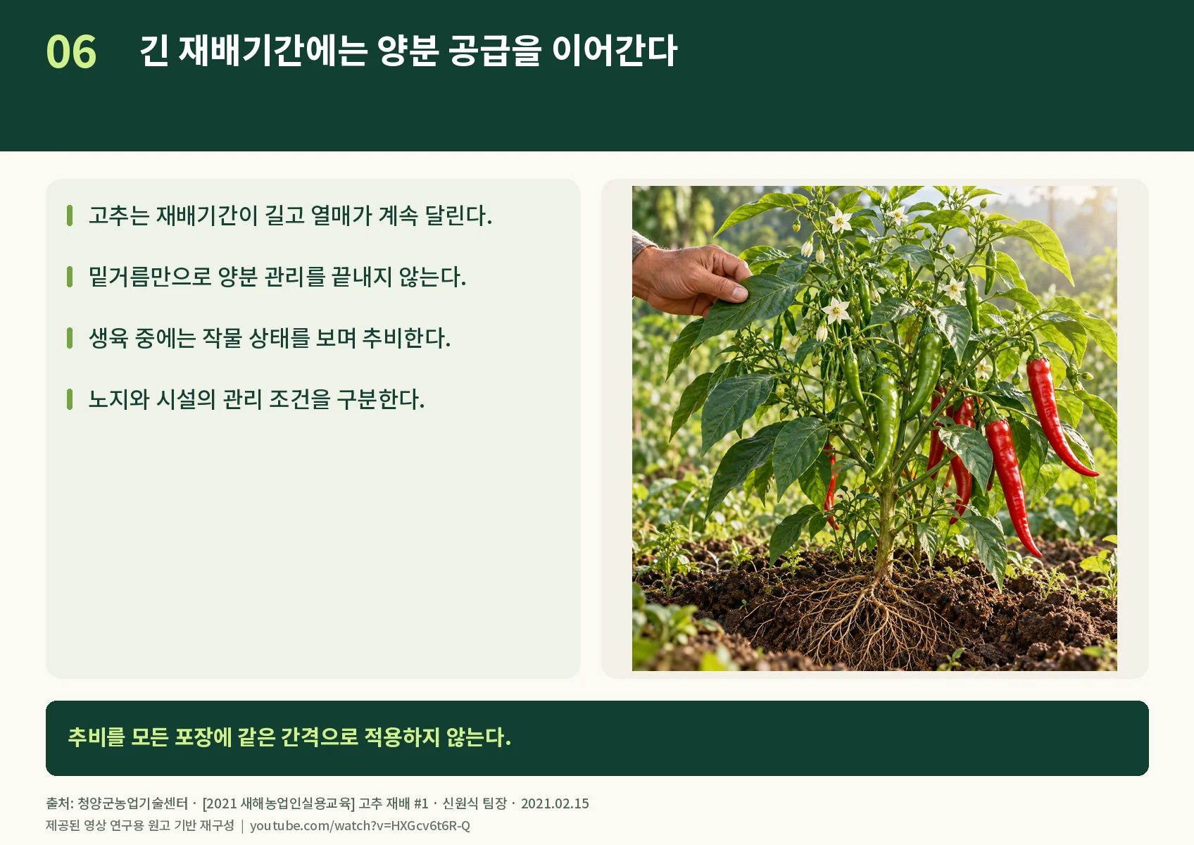 06_nutrition.webp