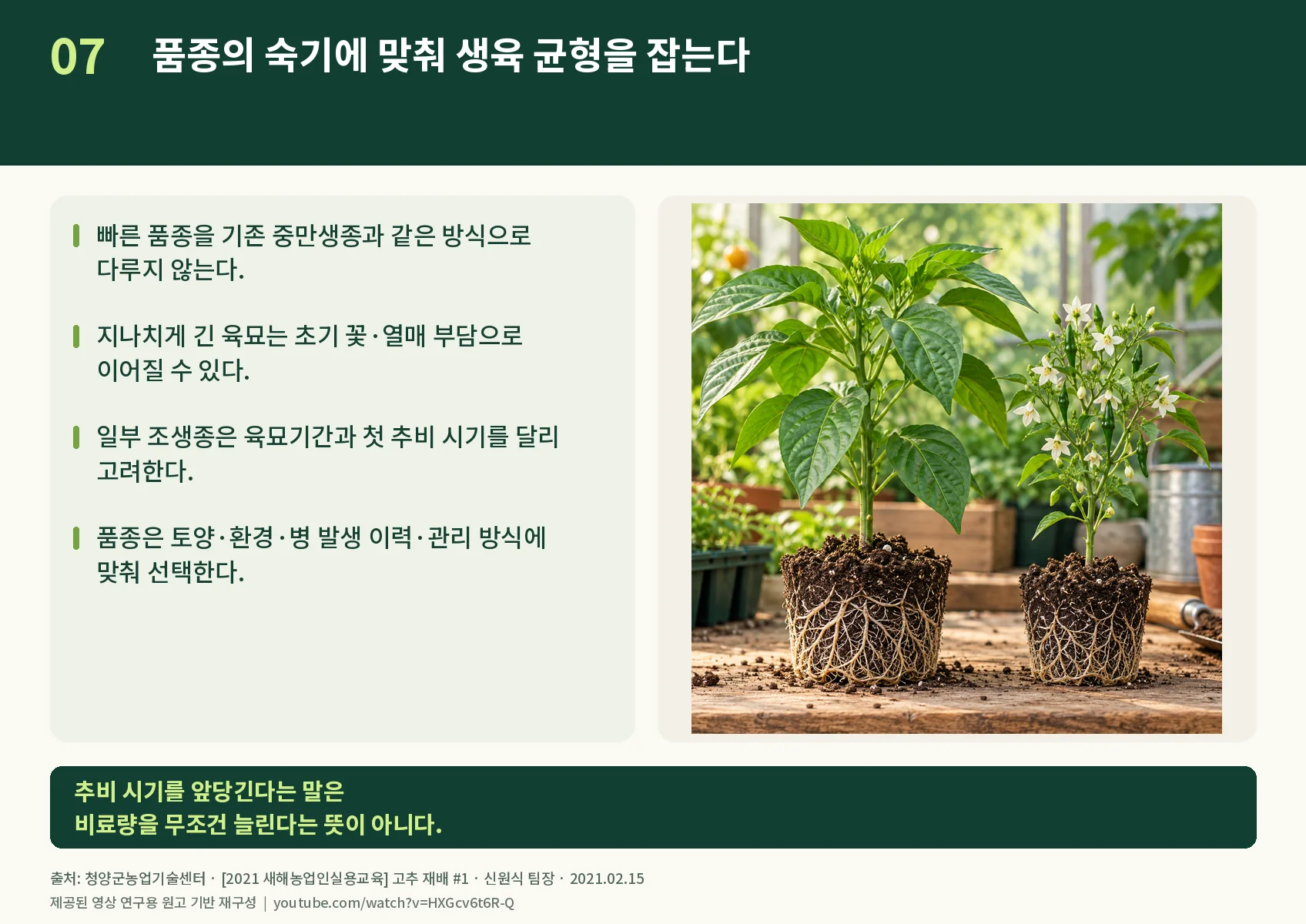 07_variety-balance.webp