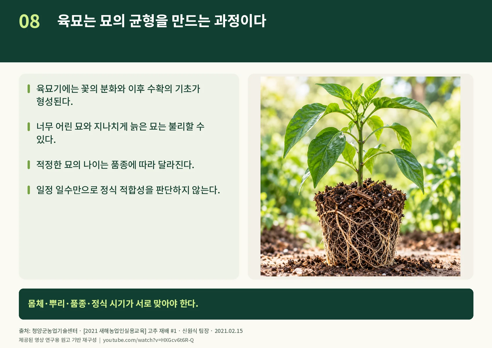 08_seedling-balance.webp