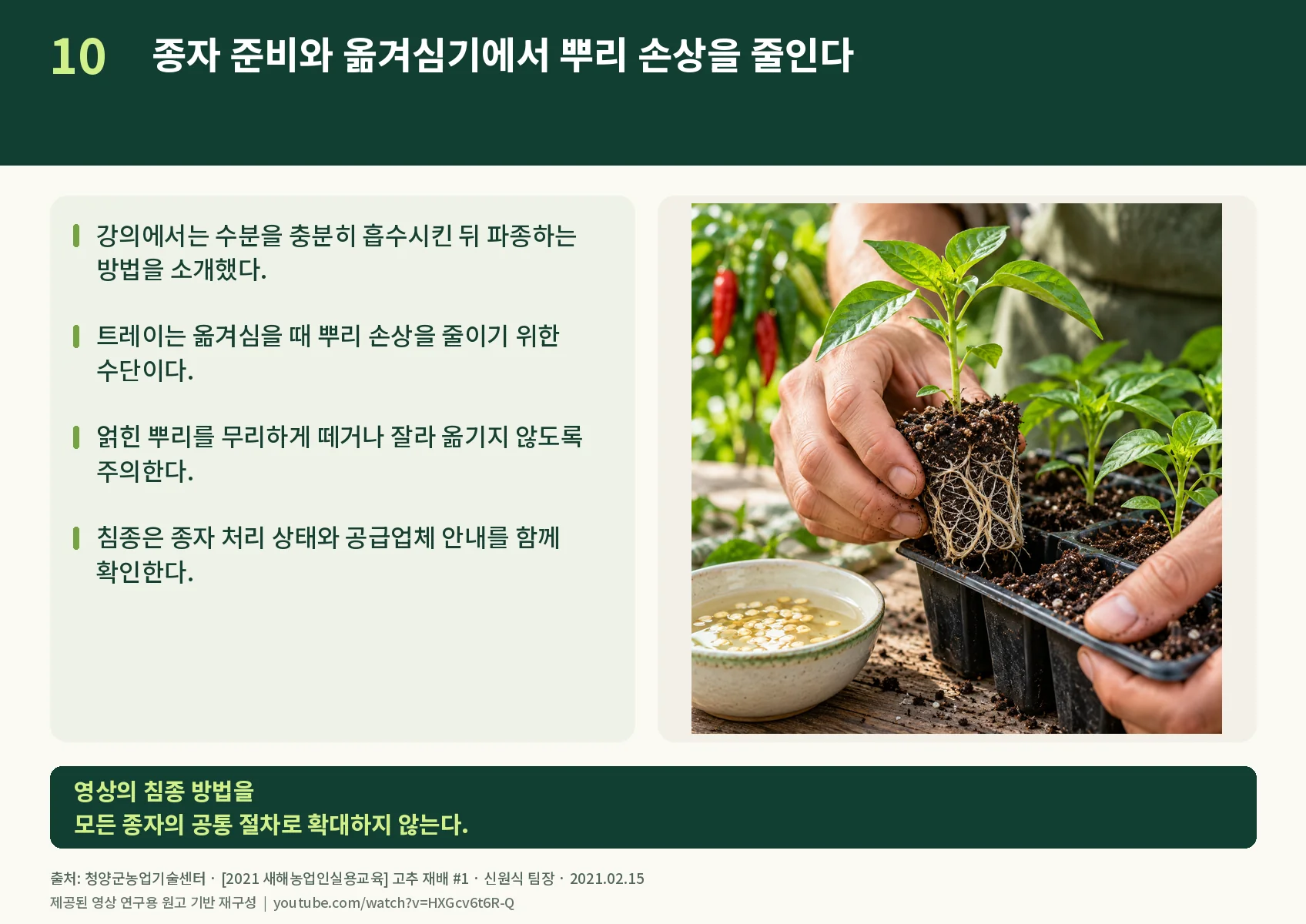 10_seed-and-root-care.webp