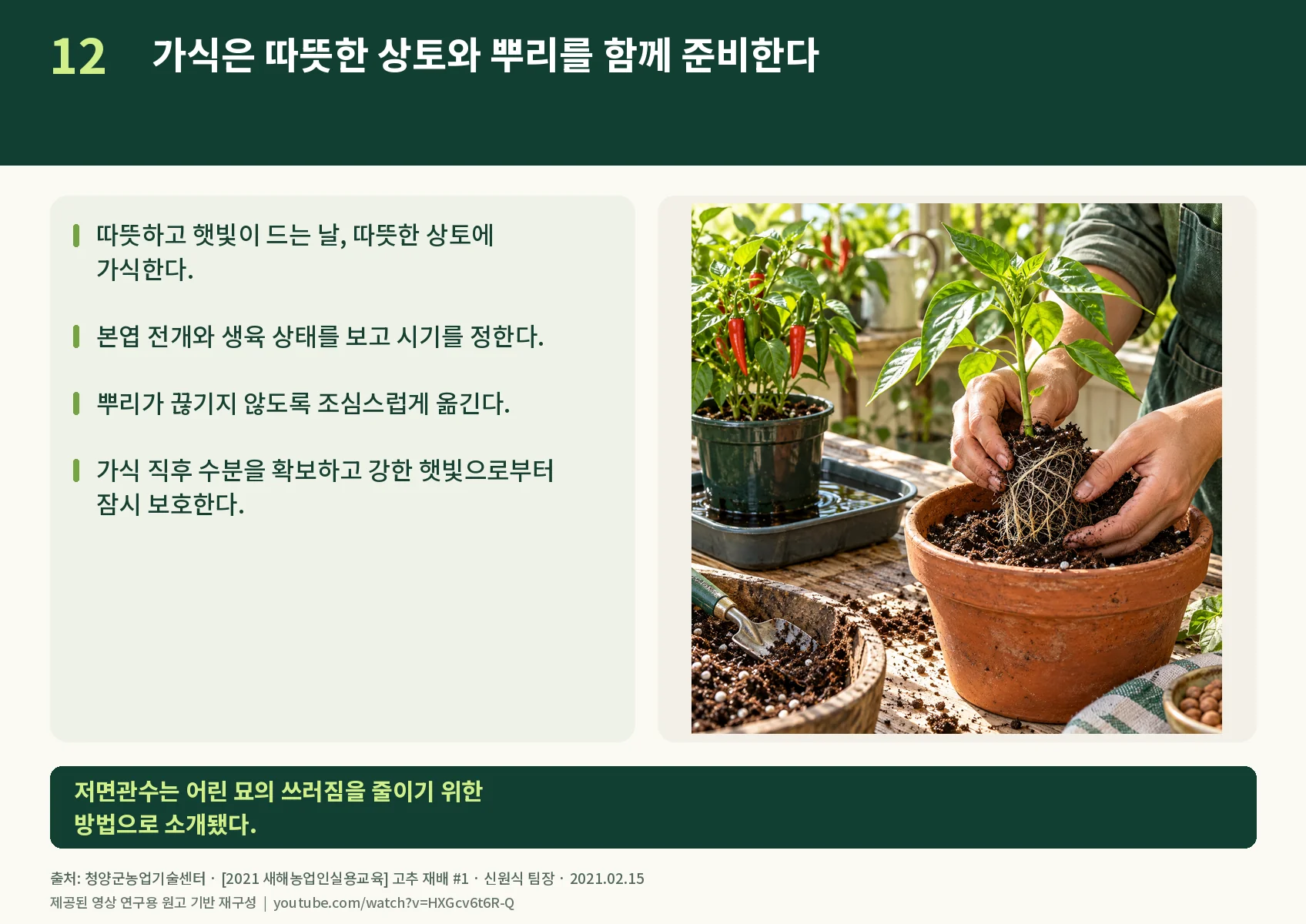 12_transplanting.webp