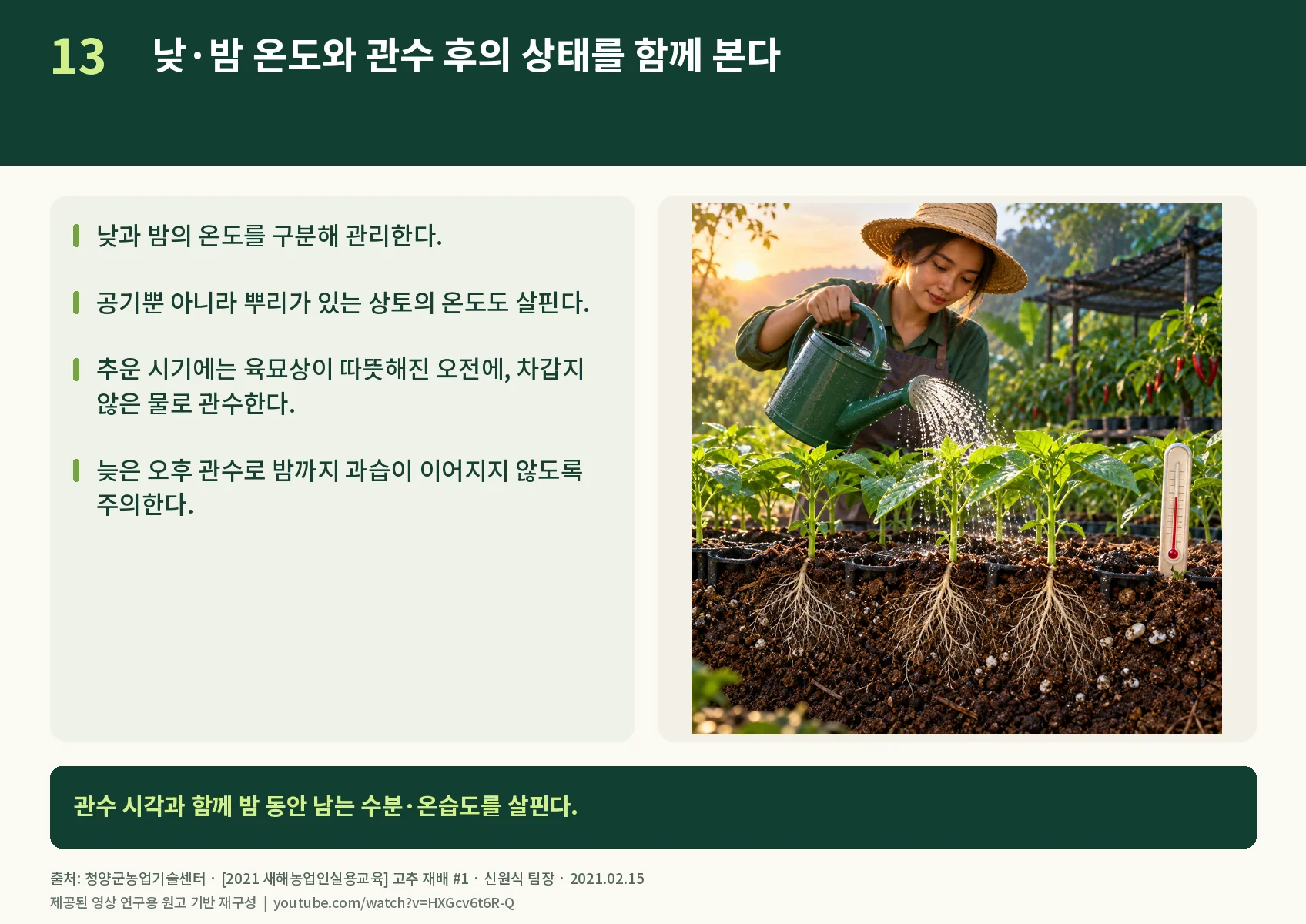 13_watering-and-temperature.webp