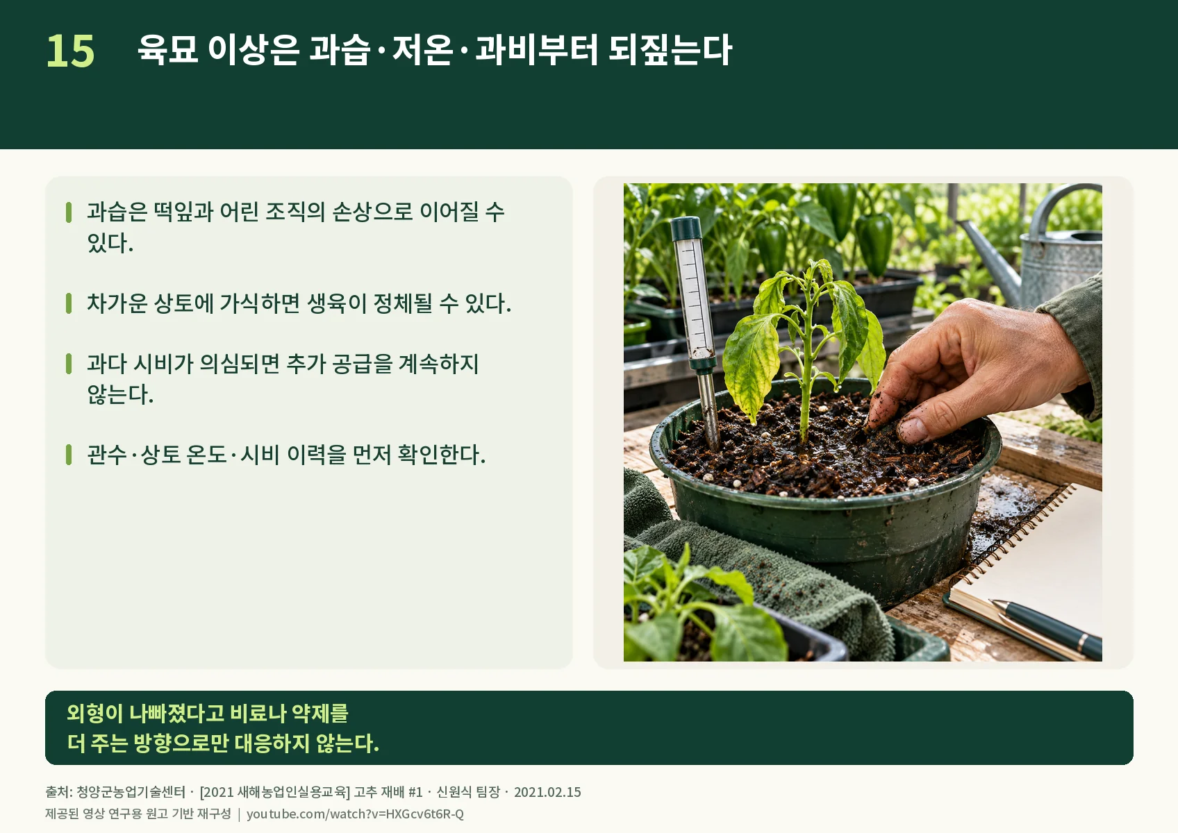 15_seedling-stress.webp