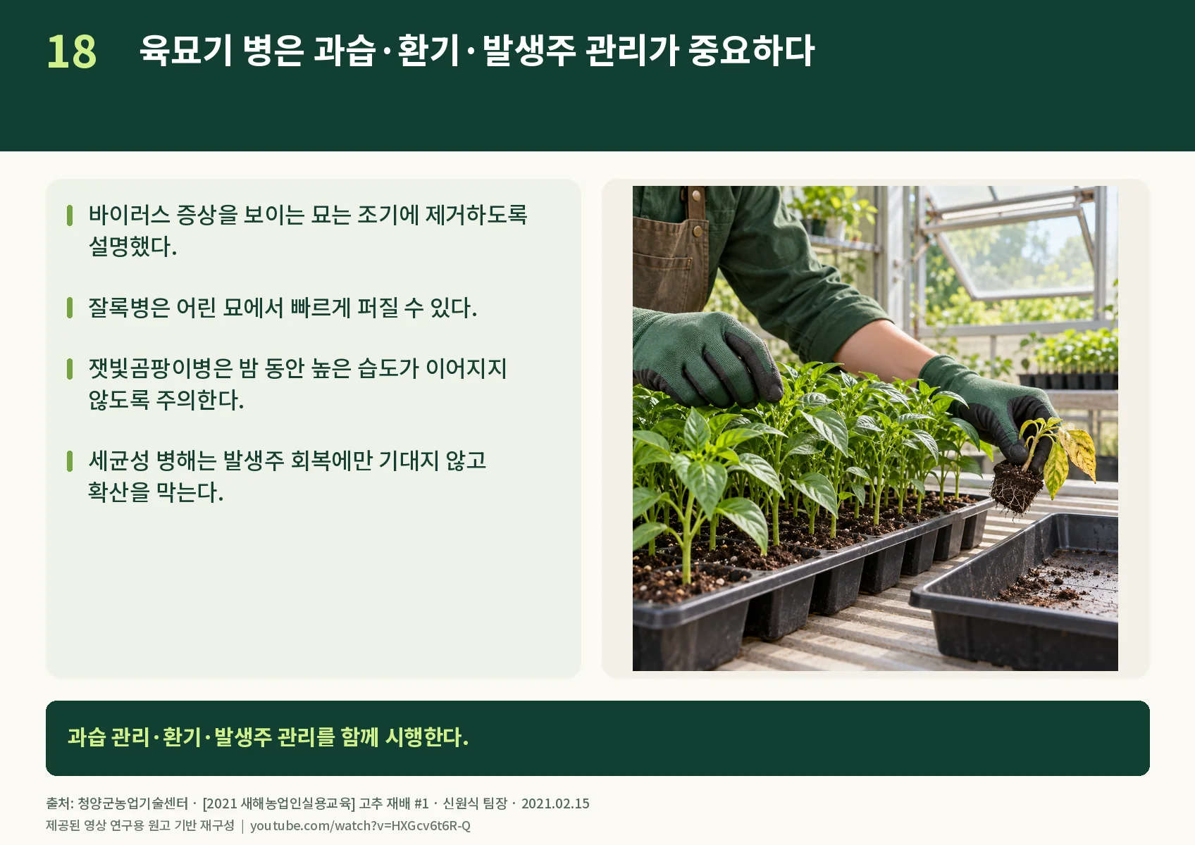 18_nursery-diseases.webp