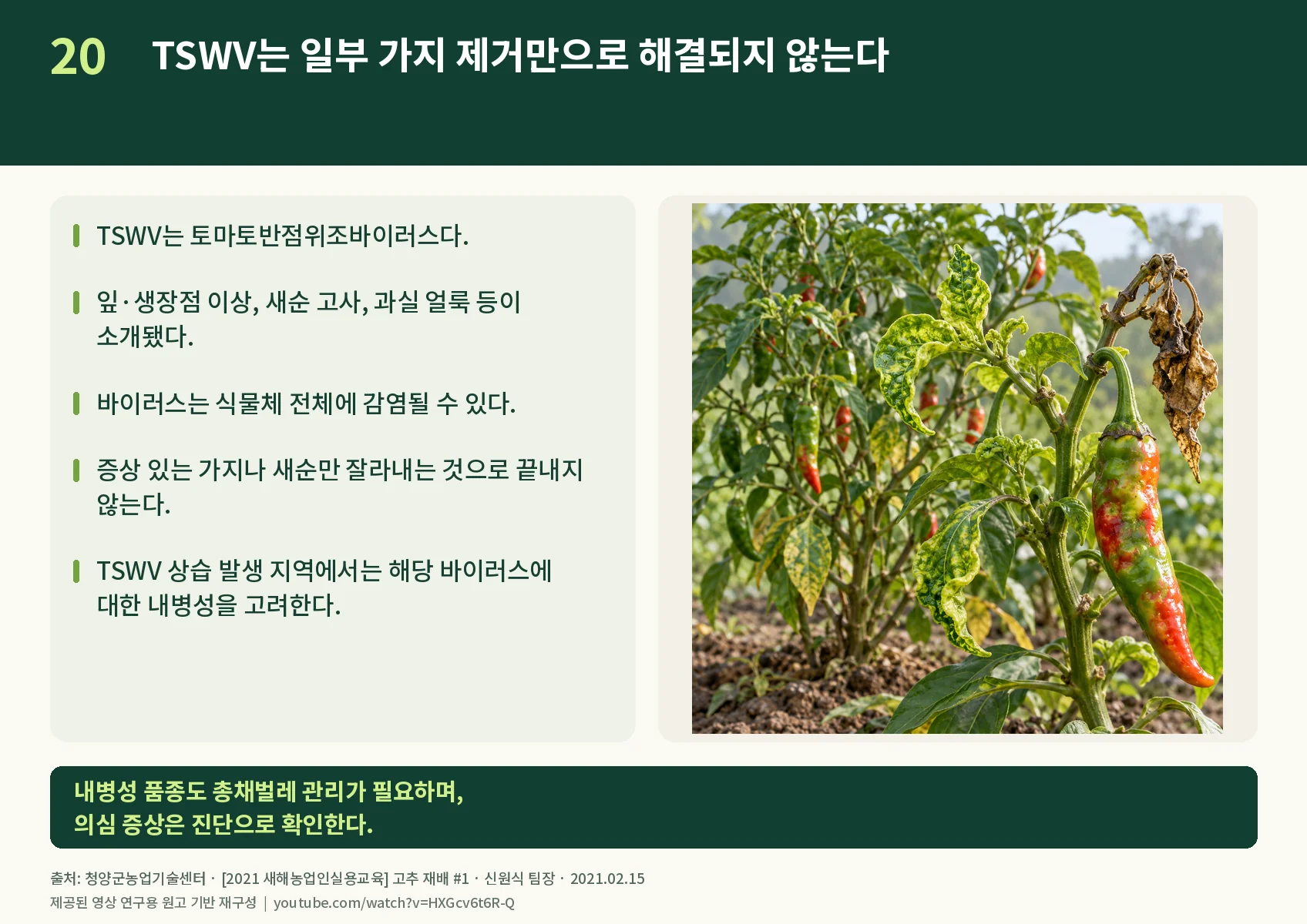 20_tswv.webp