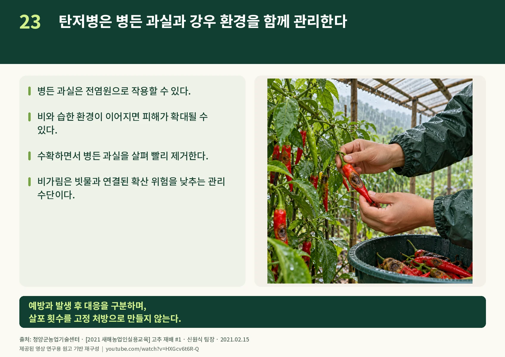 23_anthracnose.webp