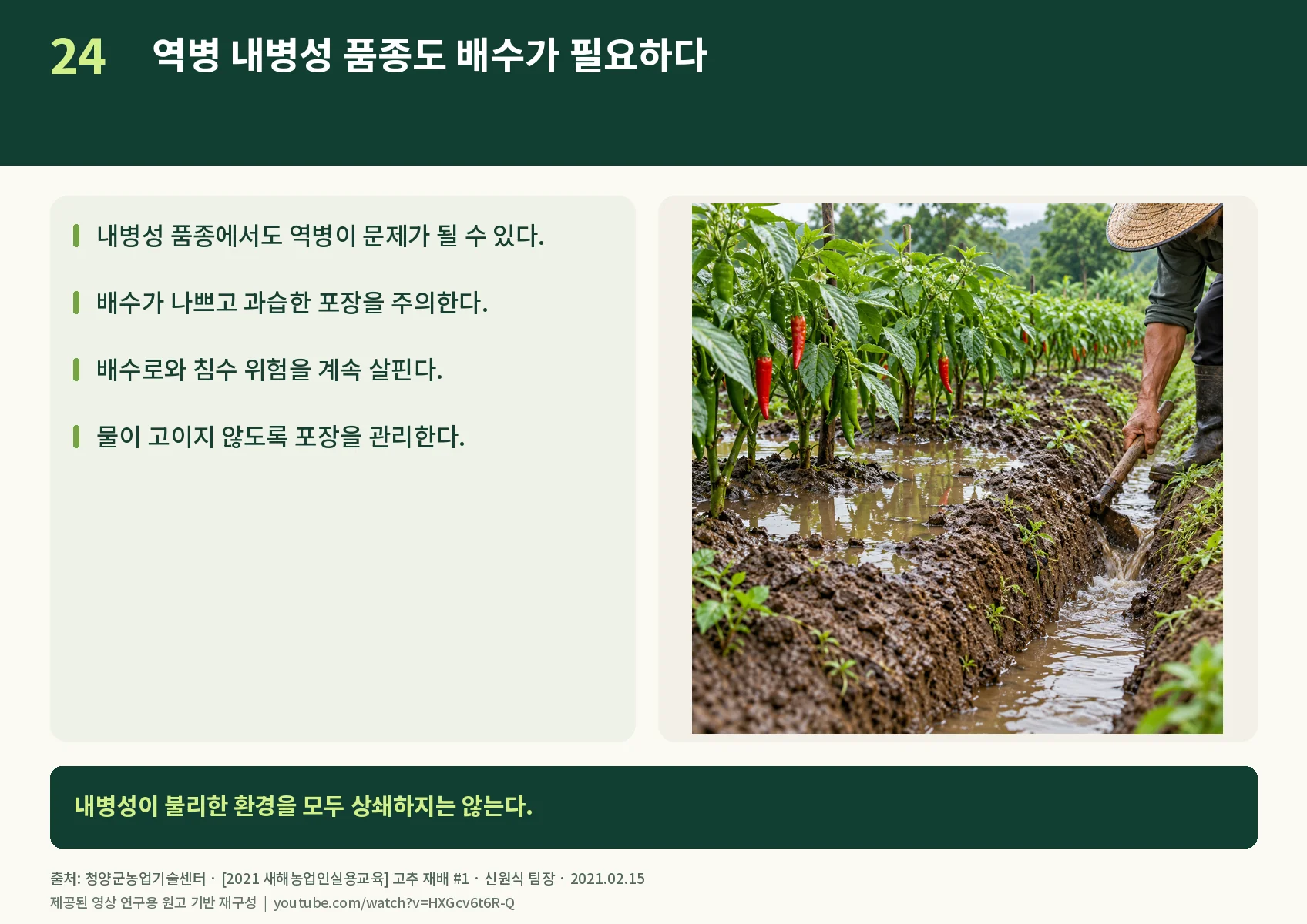 24_phytophthora.webp