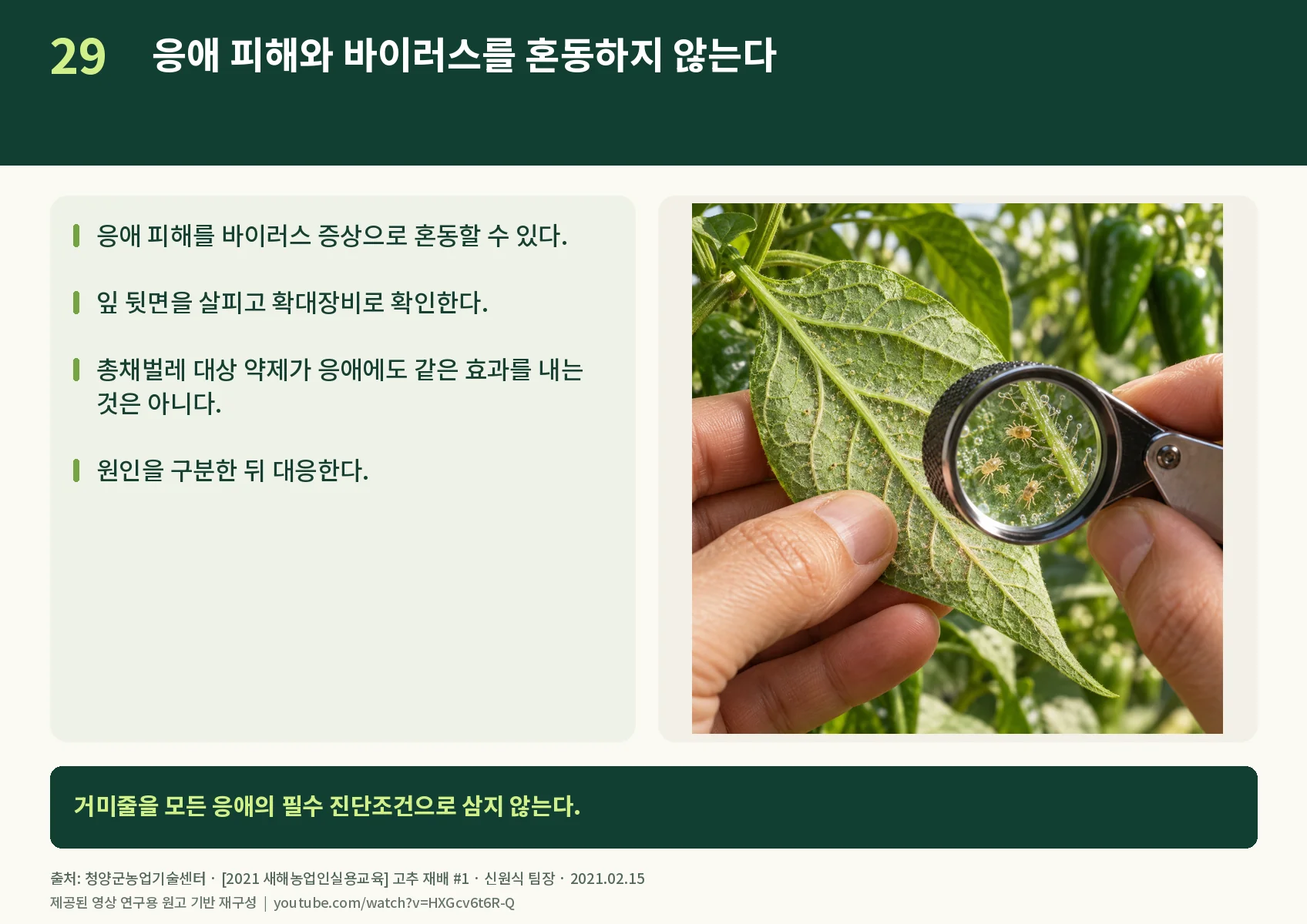 29_mites.webp