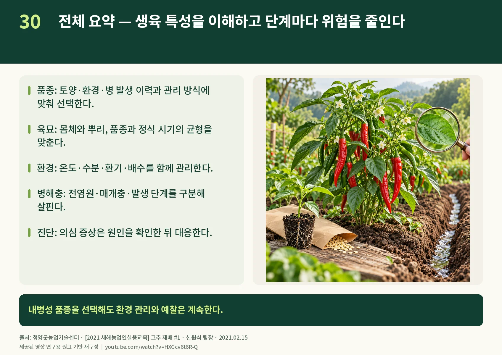 30_summary.webp