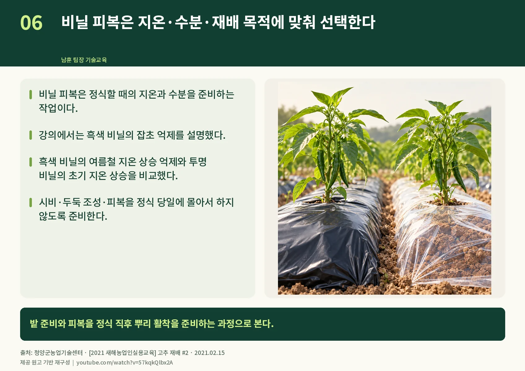 06_mulch-choice.webp