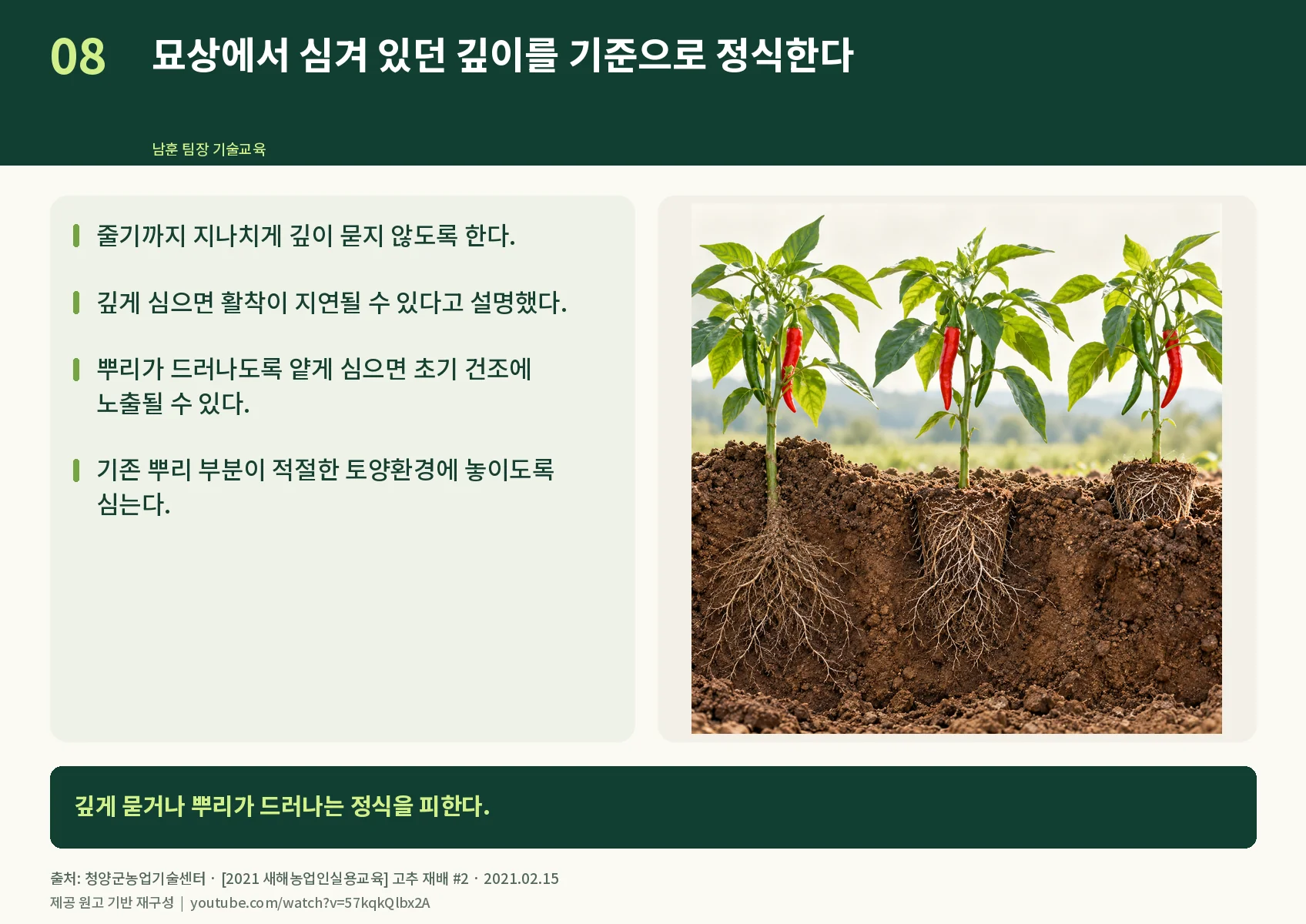 08_planting-depth.webp