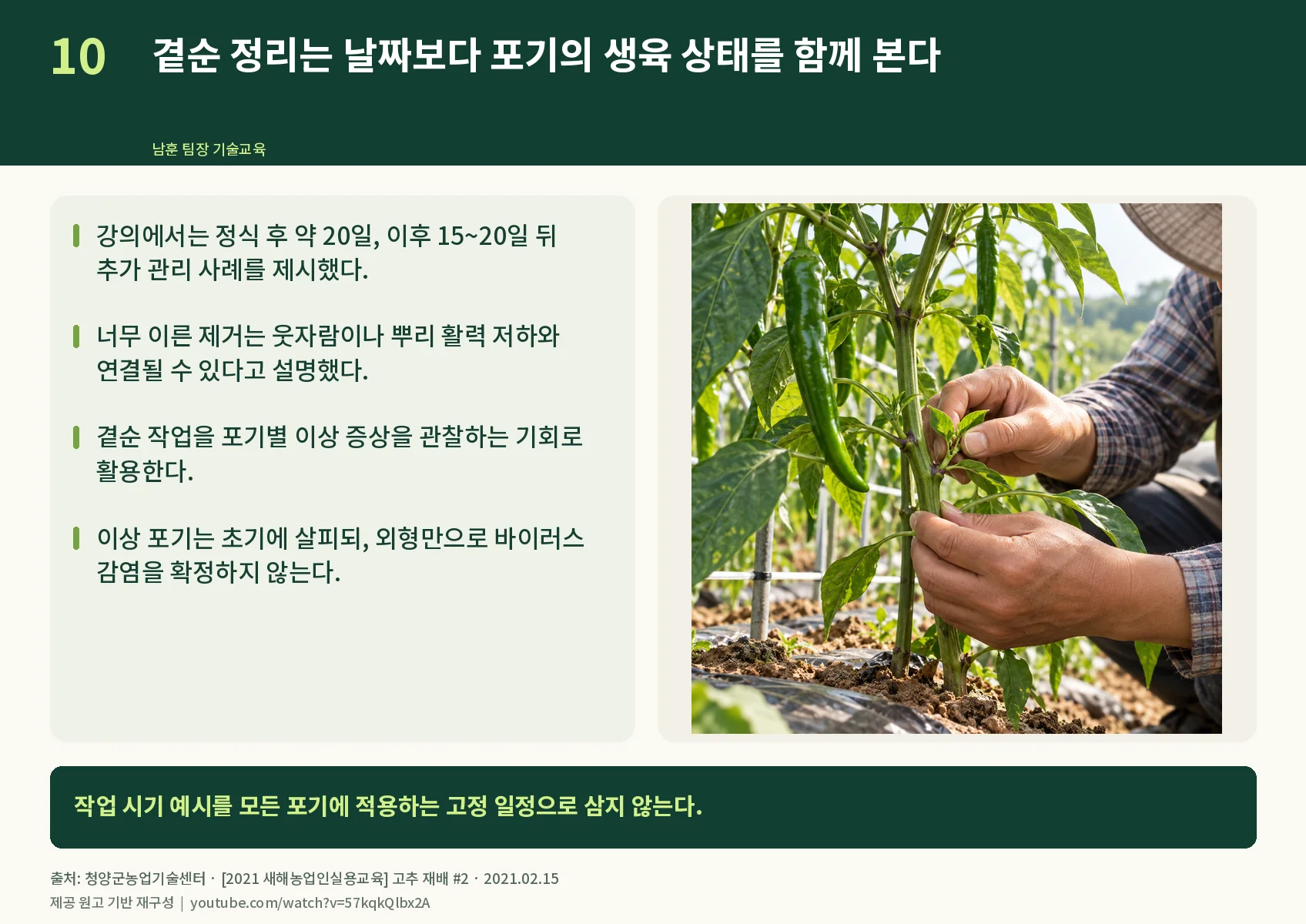 10_side-shoot-care.webp