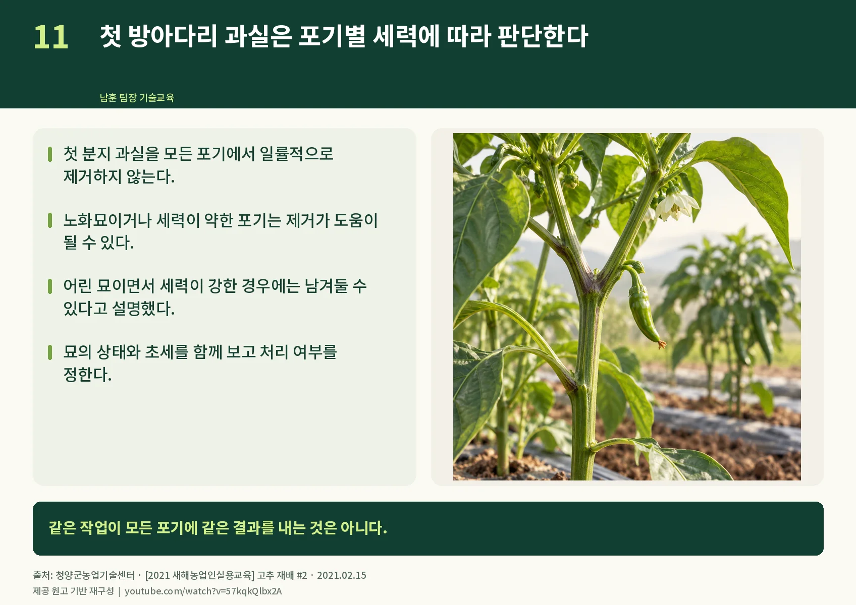 11_first-fork-fruit.webp