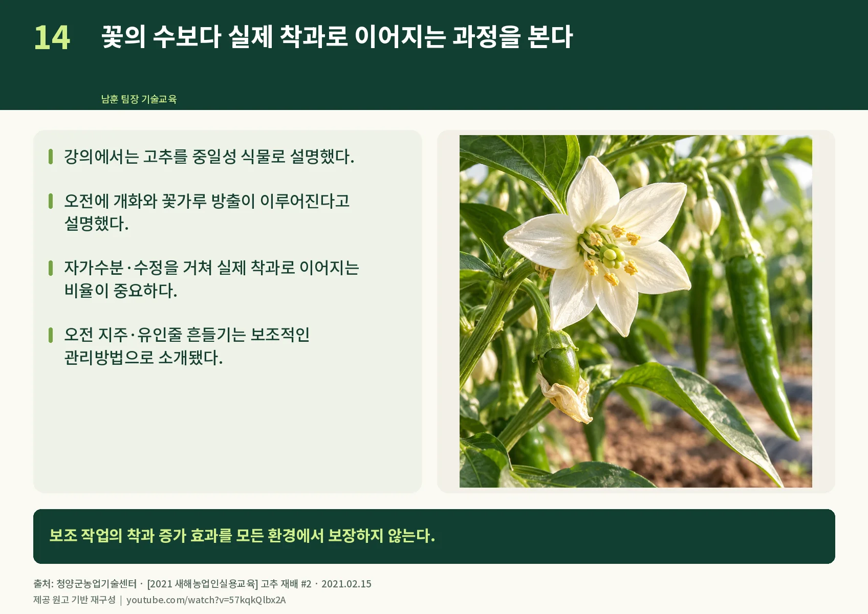 14_flowering-and-fruit-set.webp