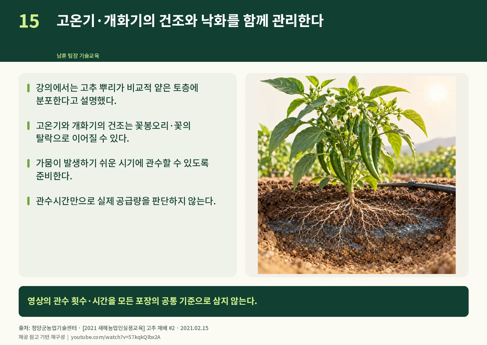 15_watering-and-flower-drop.webp