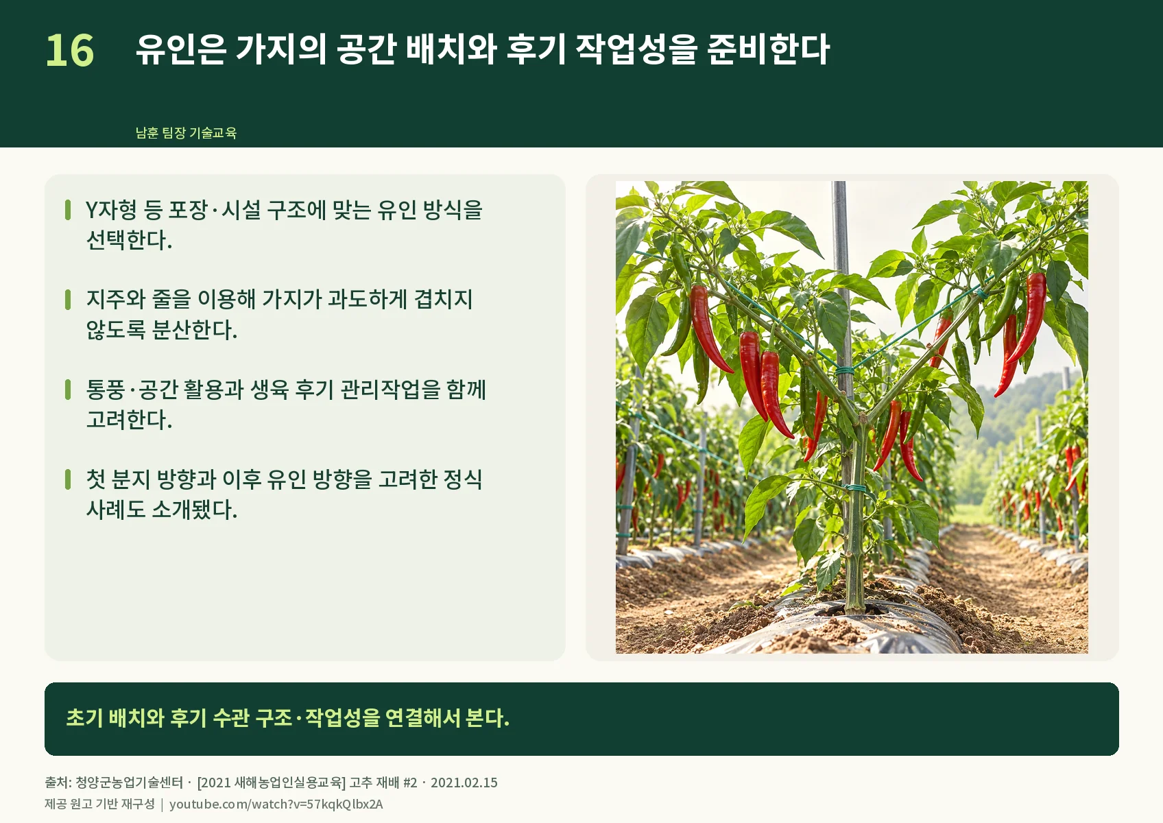 16_training-and-canopy.webp