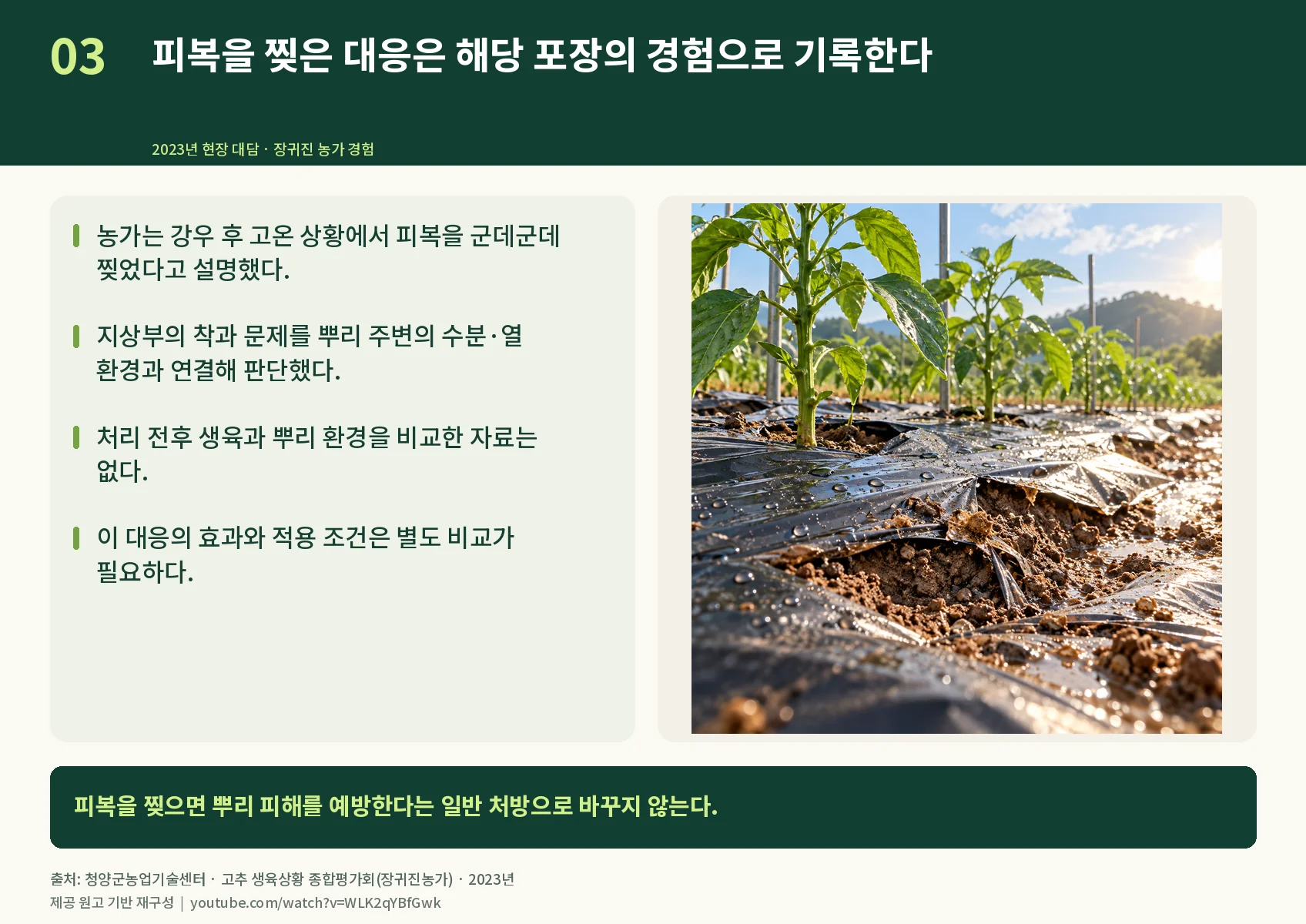 03_mulch-response-case.webp