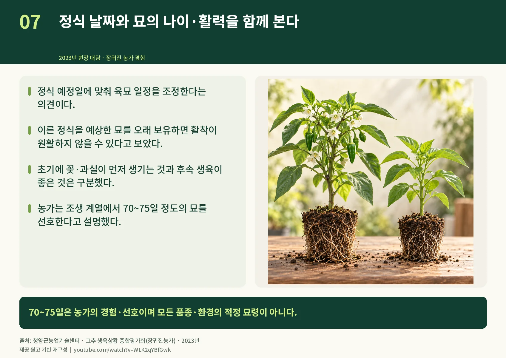 07_seedling-age.webp