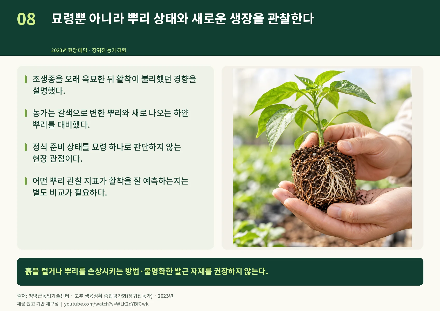 08_new-root-observation.webp