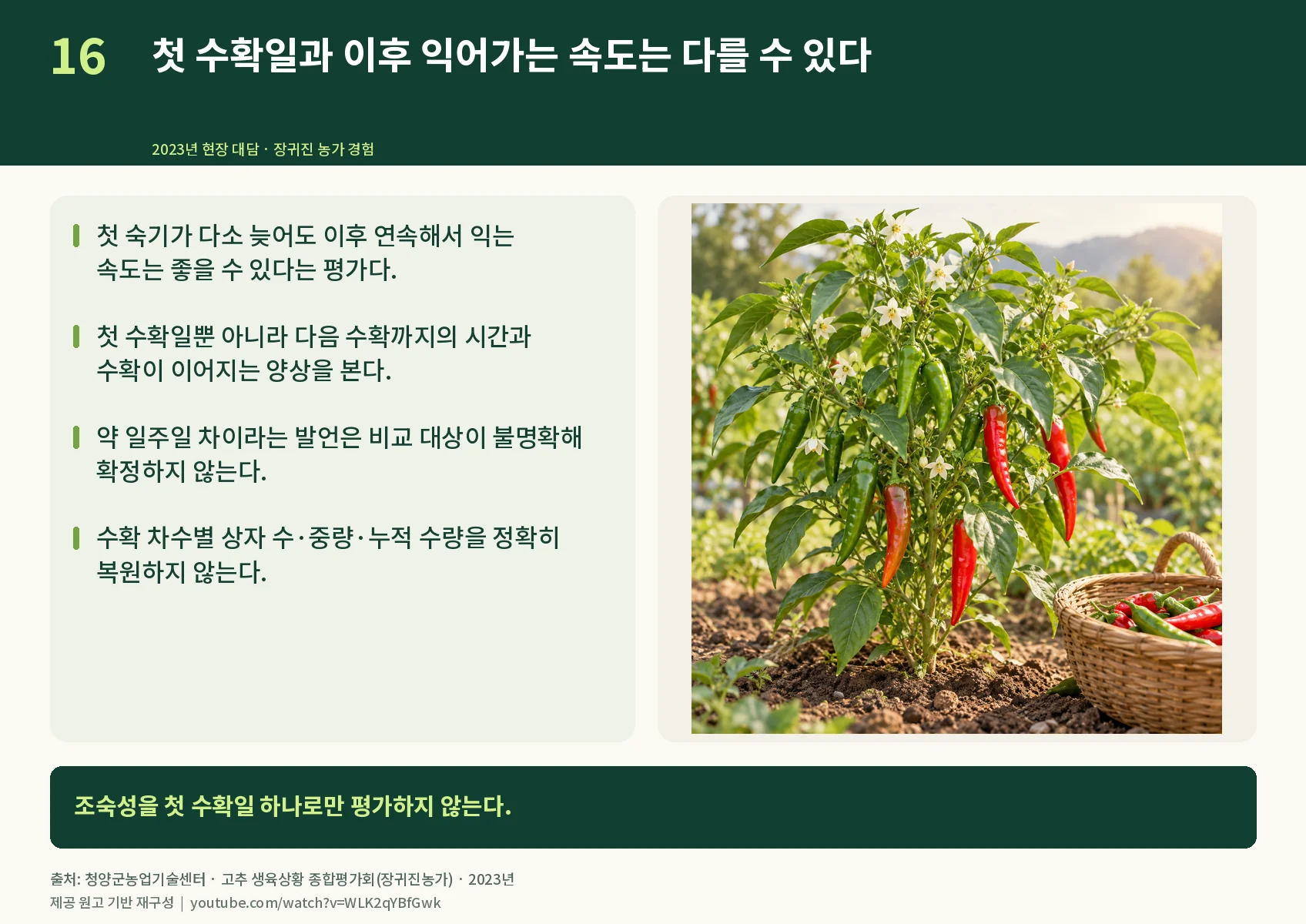 16_first-and-continuous-harvest.webp