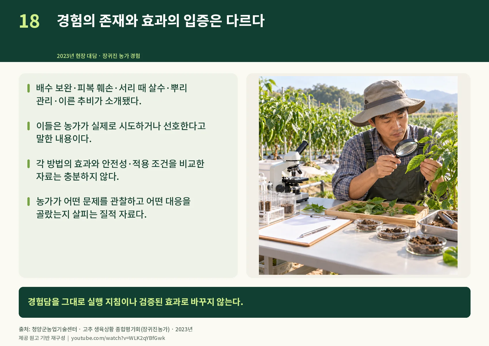 18_experience-and-evidence.webp