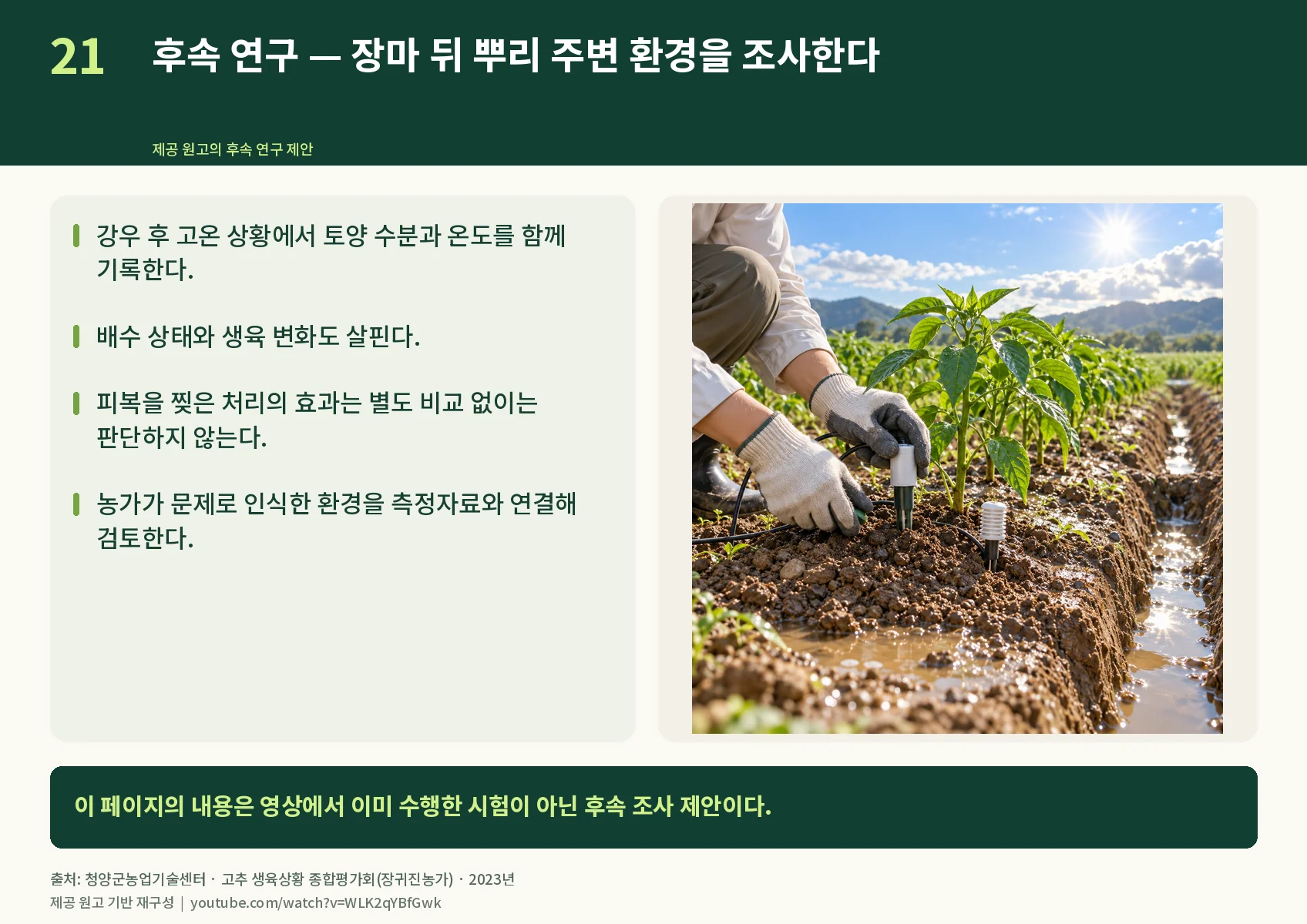 21_research-root-environment.webp