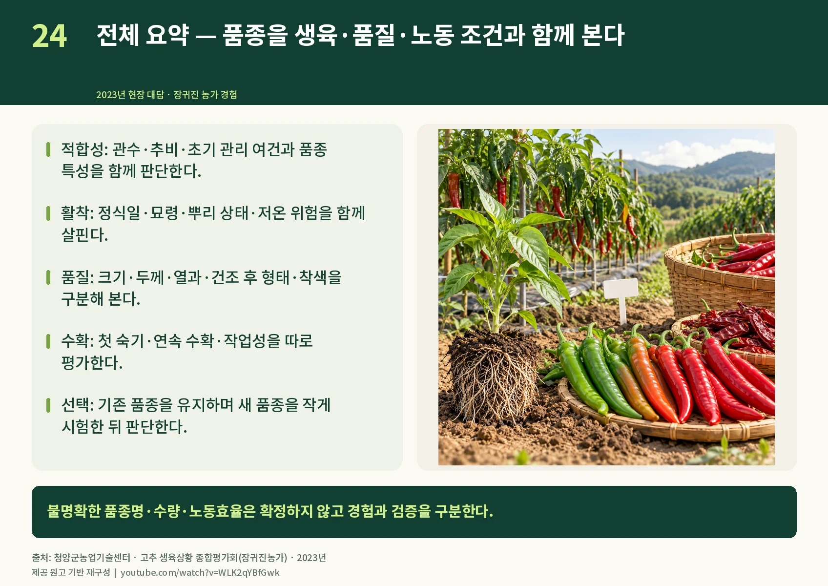 24_summary.webp