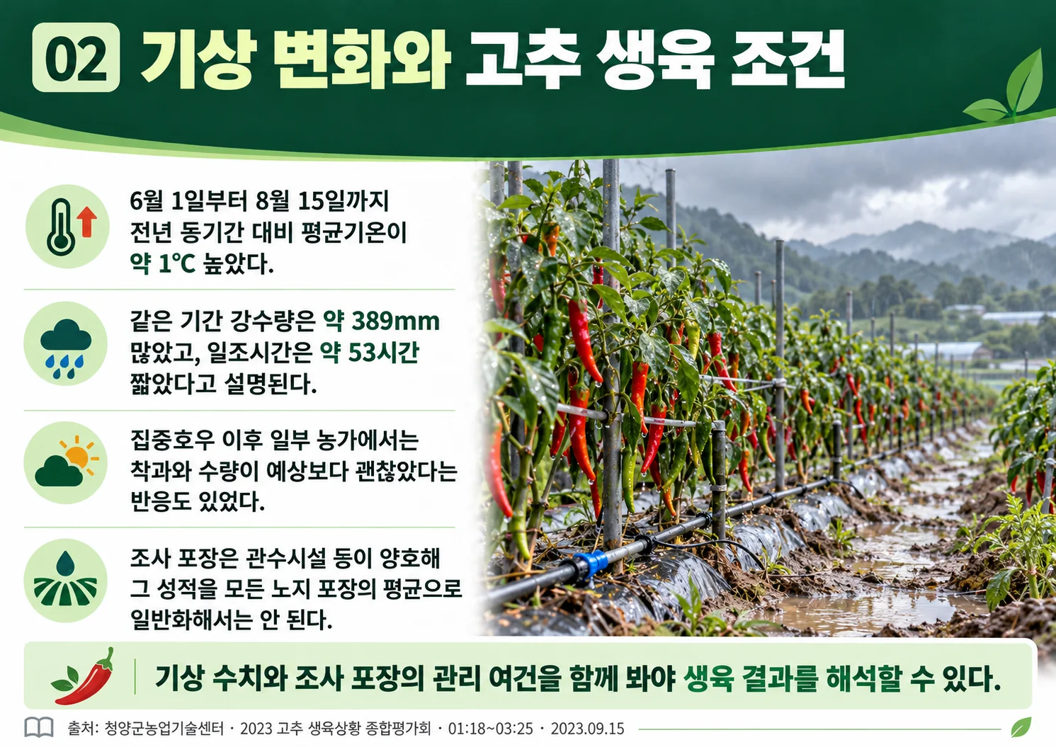 02_weather_growth.webp
