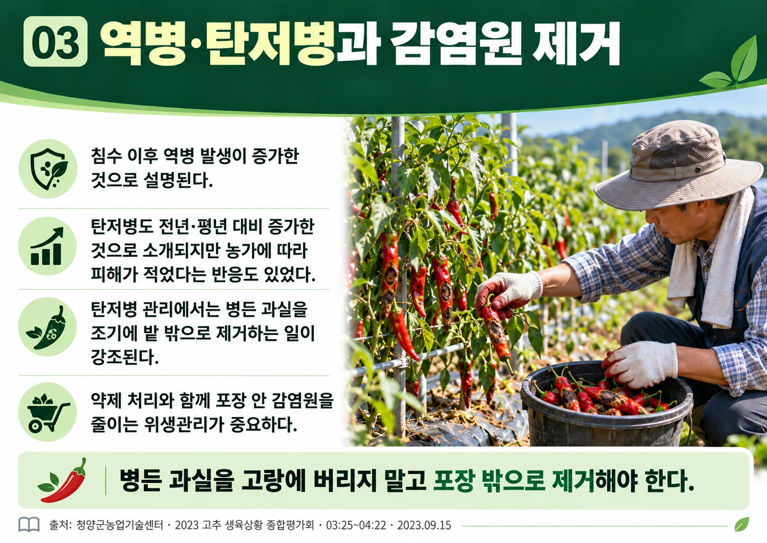 03_disease_source_removal.webp