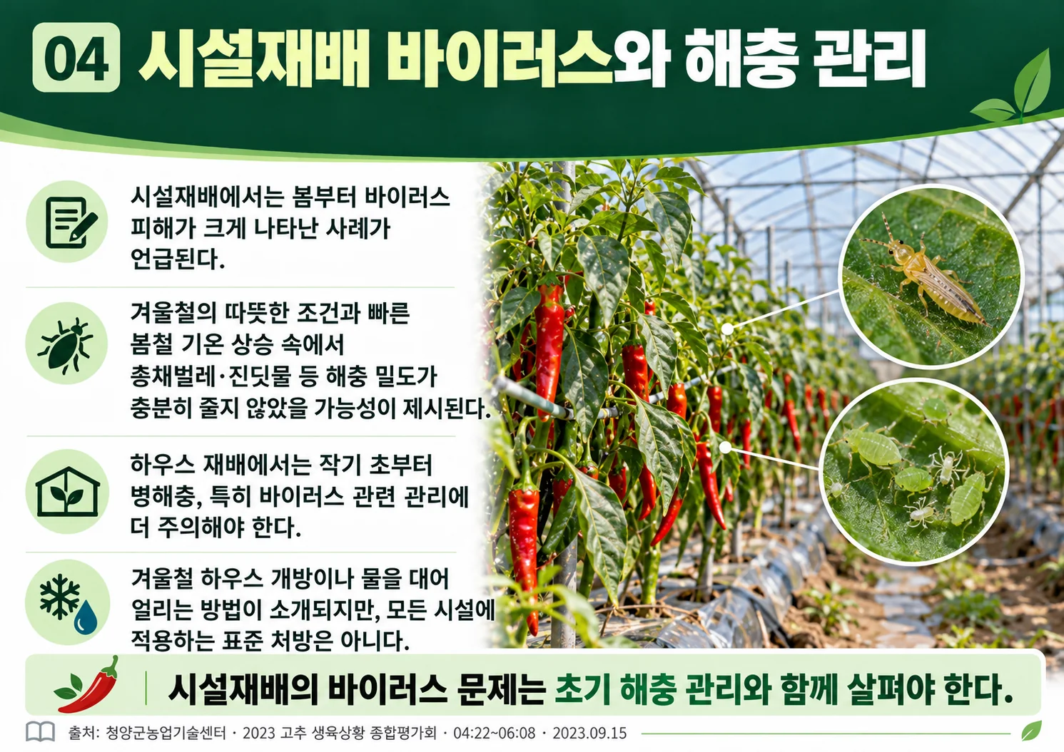 04_greenhouse_virus_pests.webp