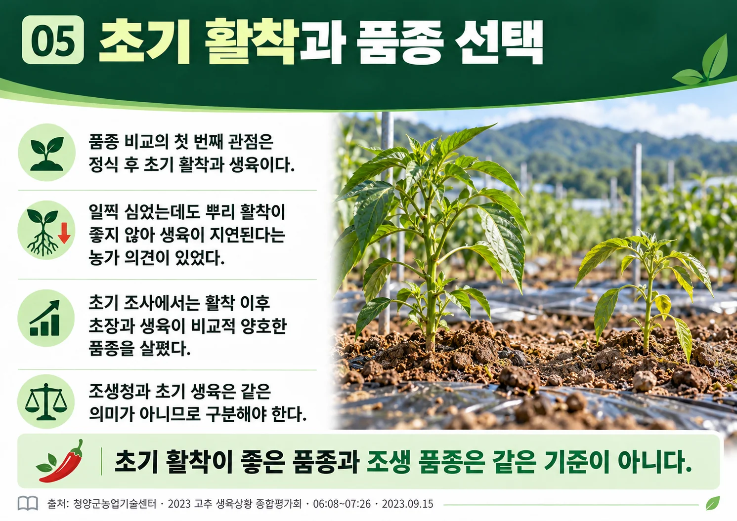 05_early_rooting_varieties.webp