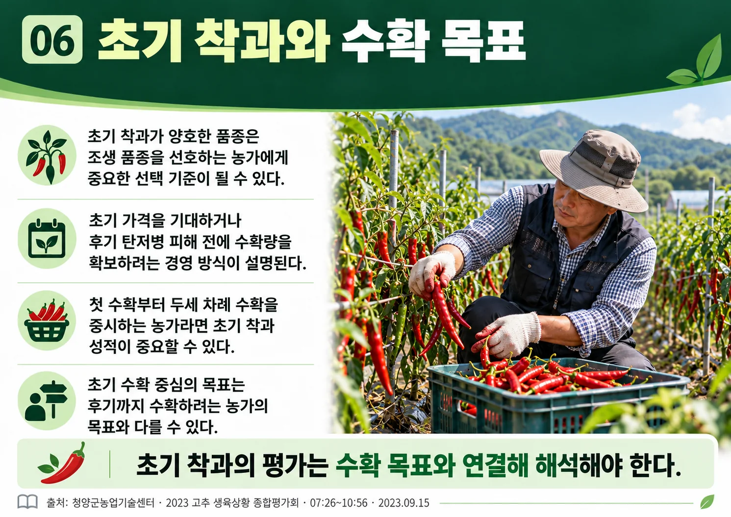 06_early_fruiting_harvest.webp