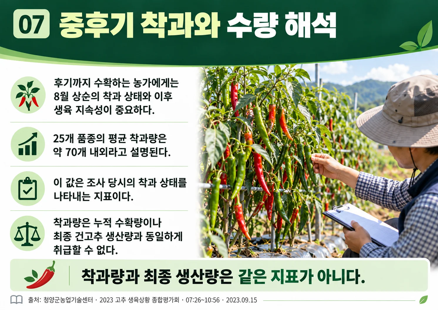 07_later_fruiting_yield.webp