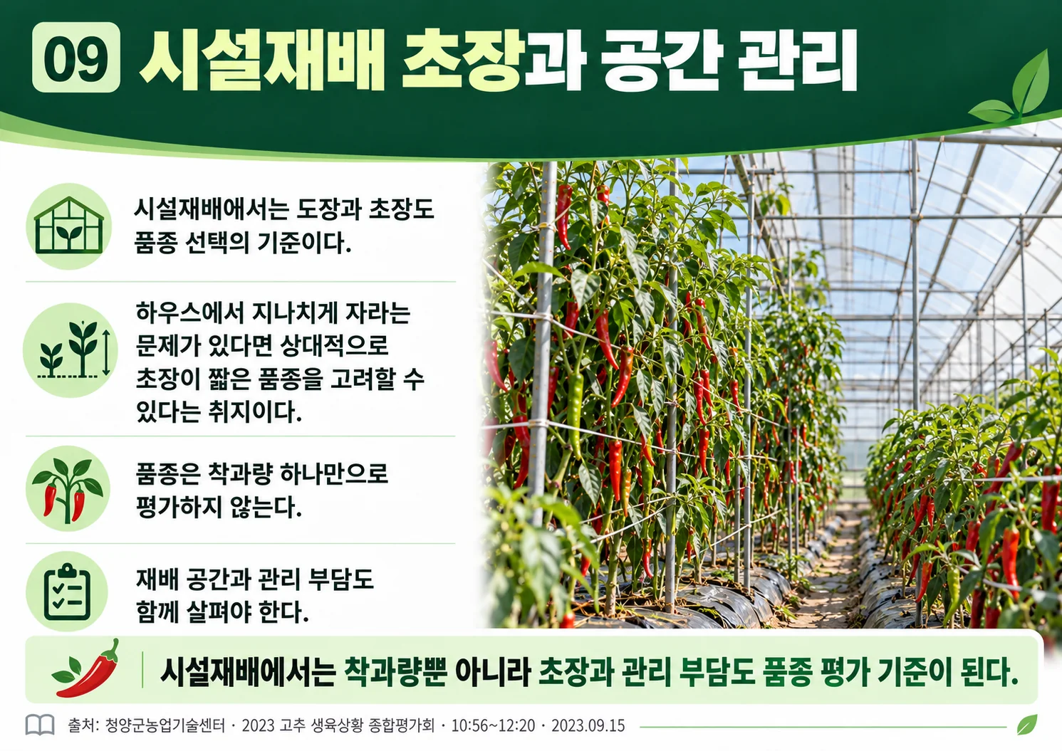 09_greenhouse_height_space.webp