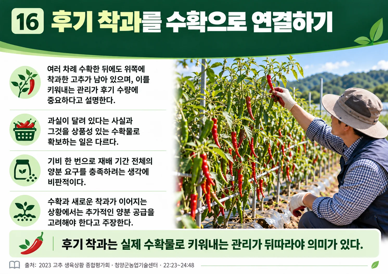 16_late_fruiting_to_harvest.webp