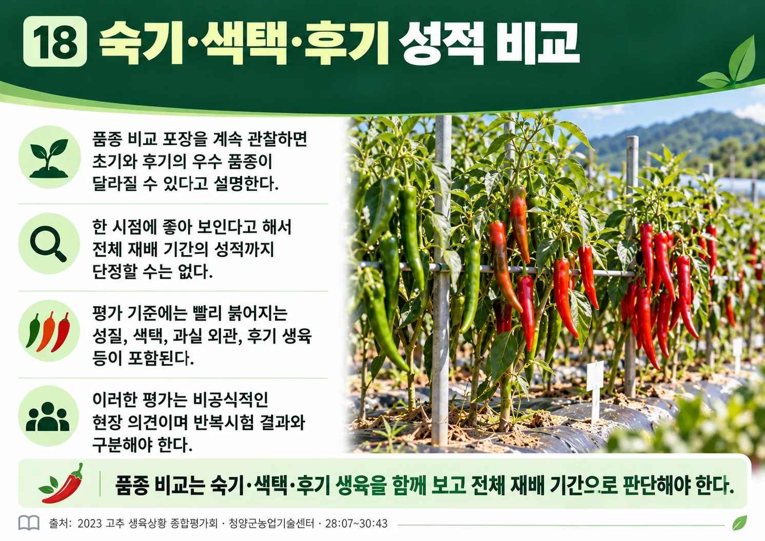18_ripening_color_late_growth.webp