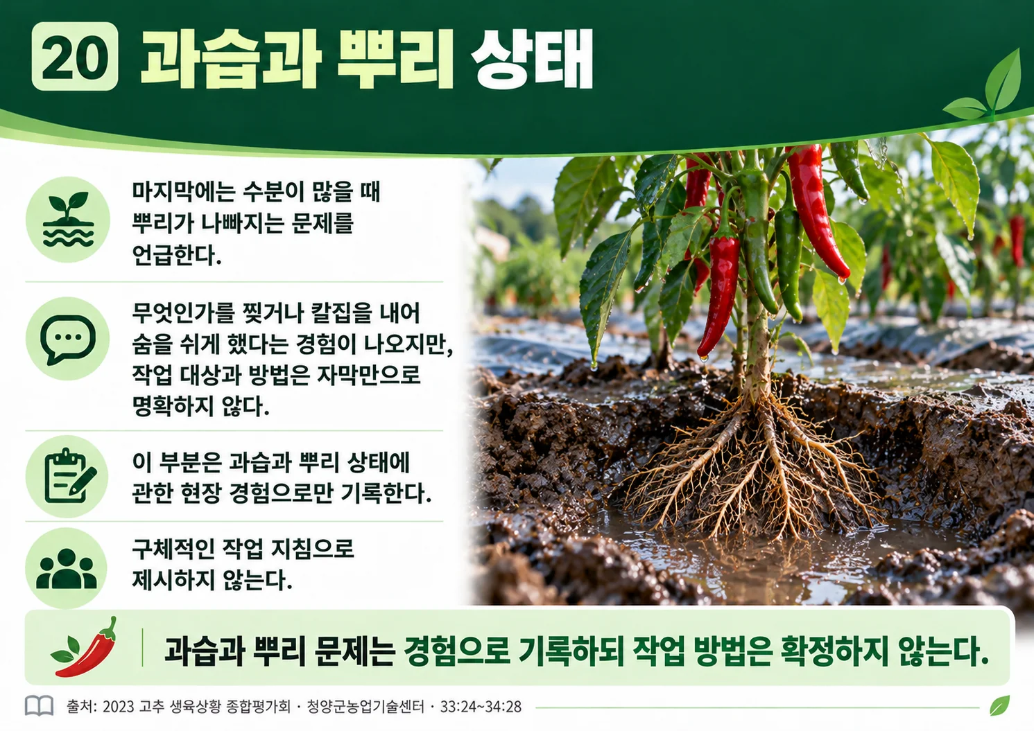 20_wet_soil_roots.webp