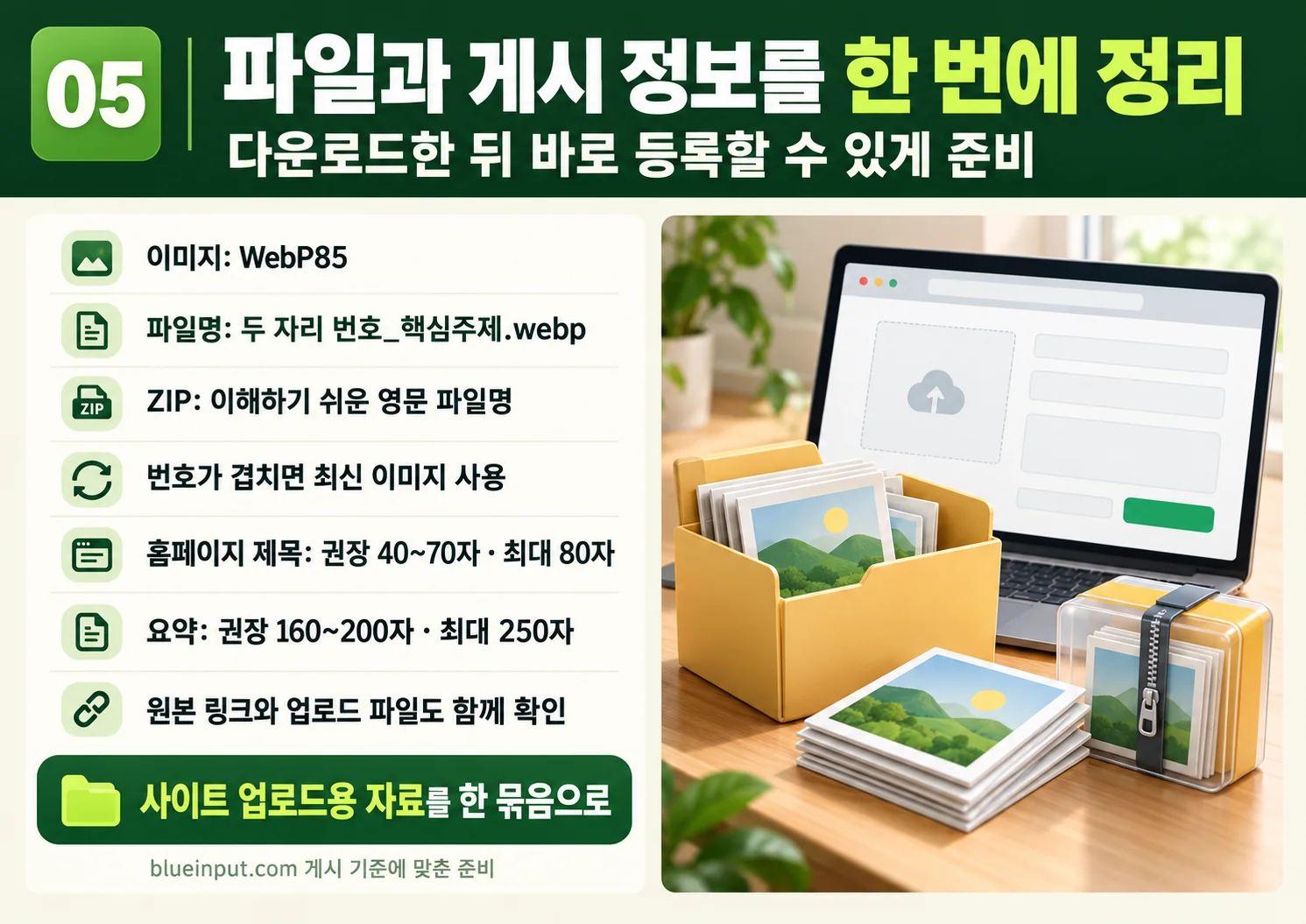 05_files_and_site.webp