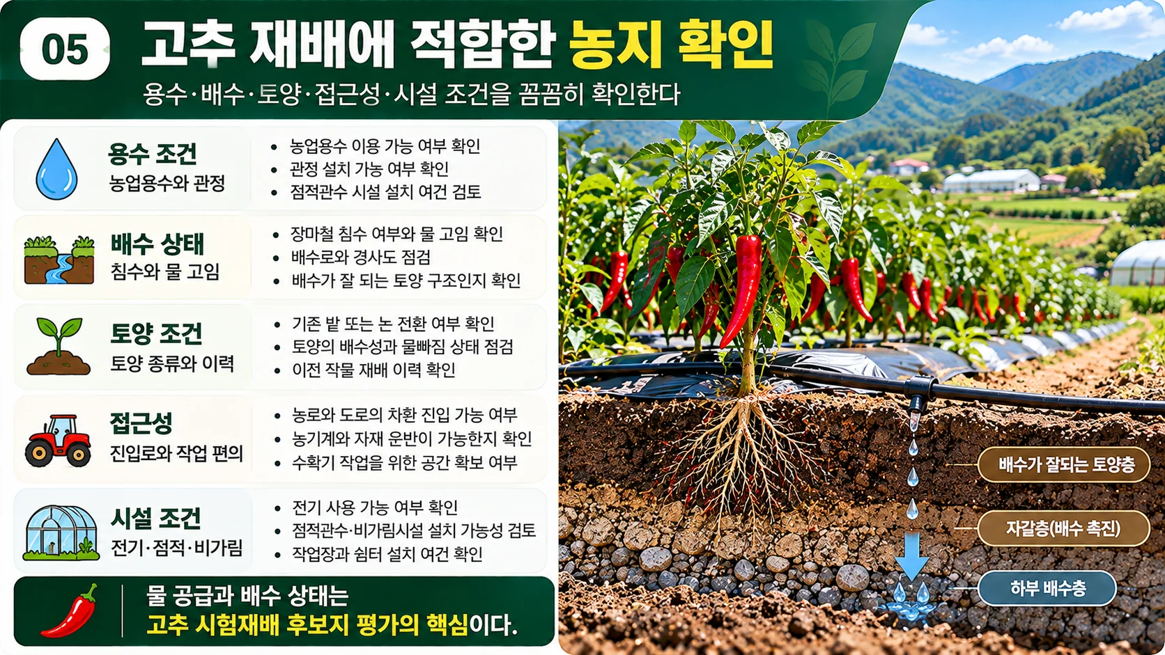 05_field_conditions.webp