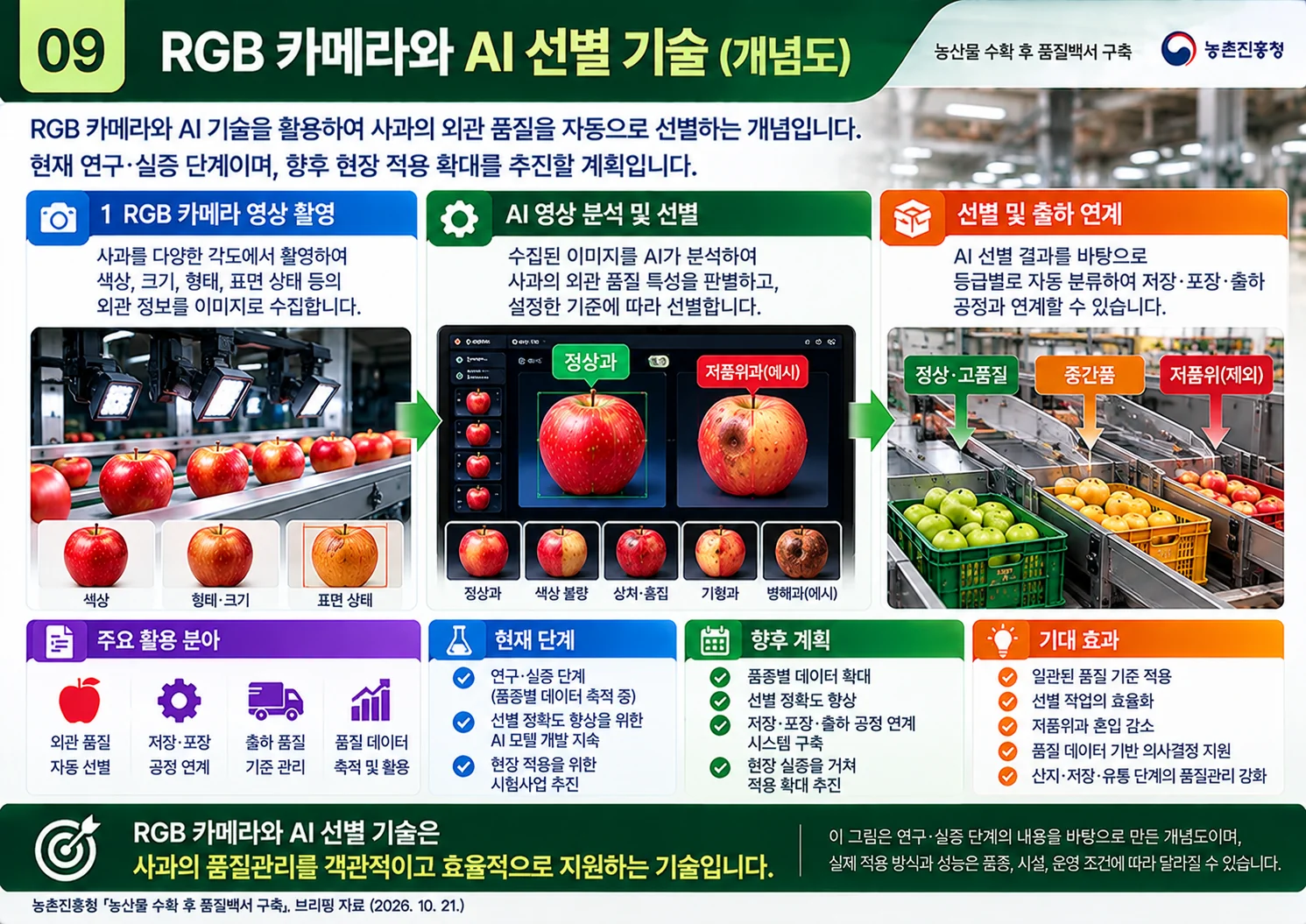 09_rgb_ai_sorting.webp