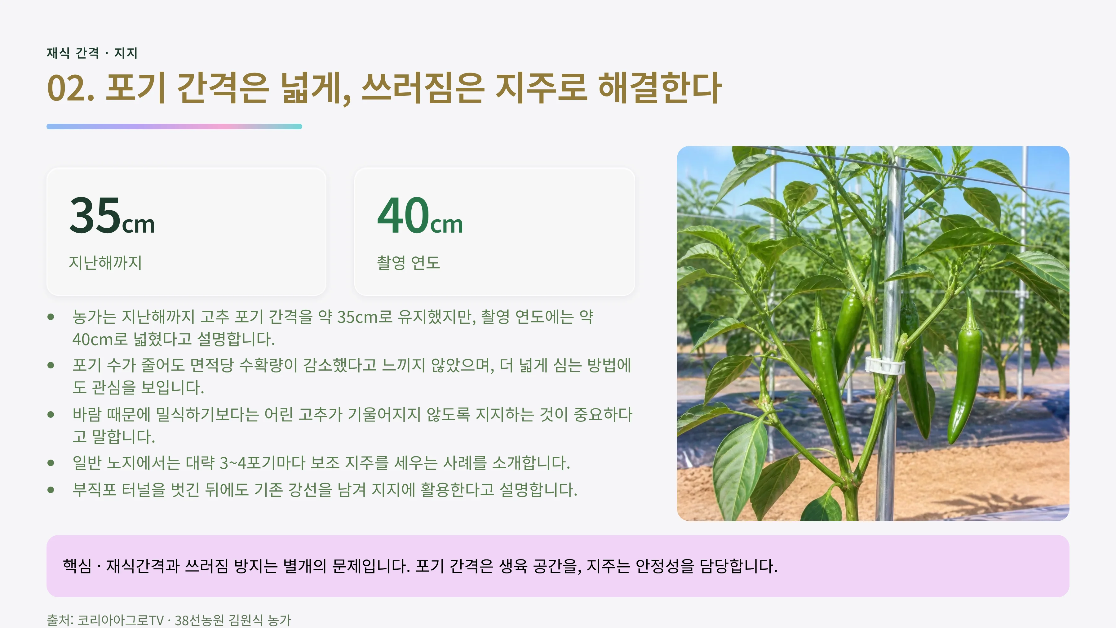 02_포기간격_지주관리.webp