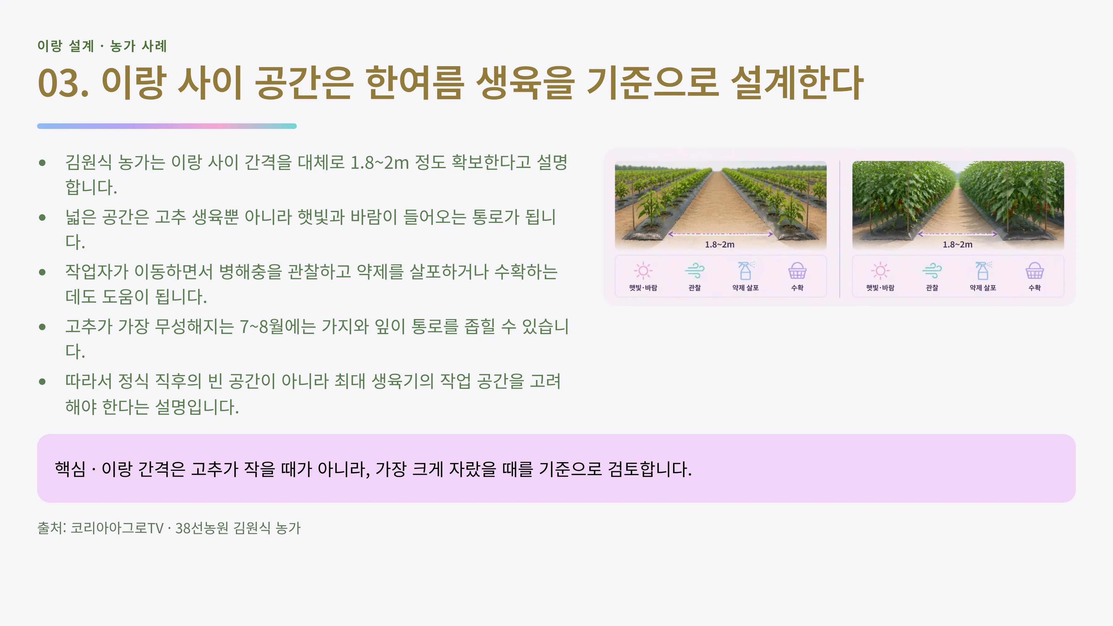 03_이랑간격_작업공간.webp