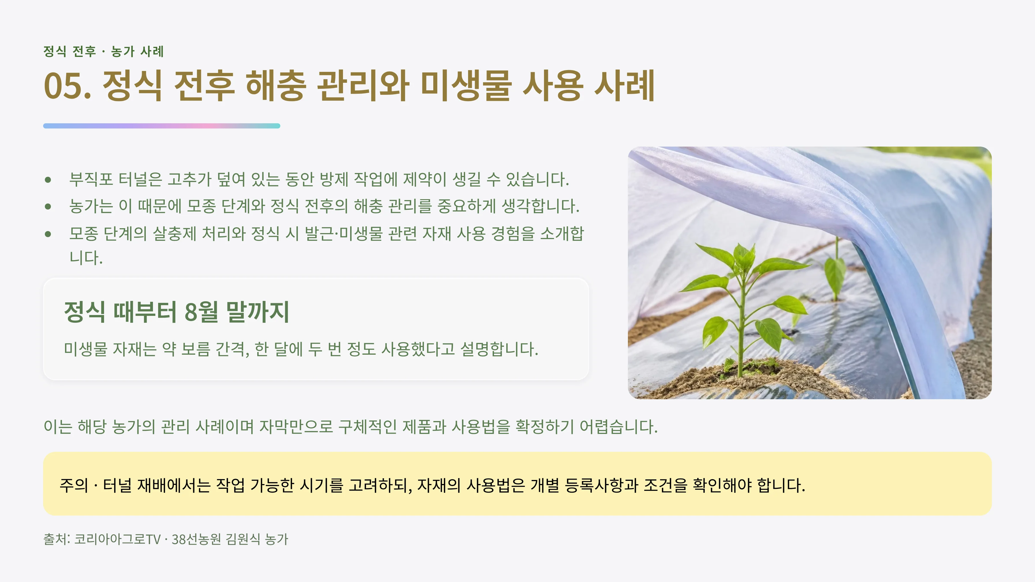 05_정식전후_해충_미생물.webp