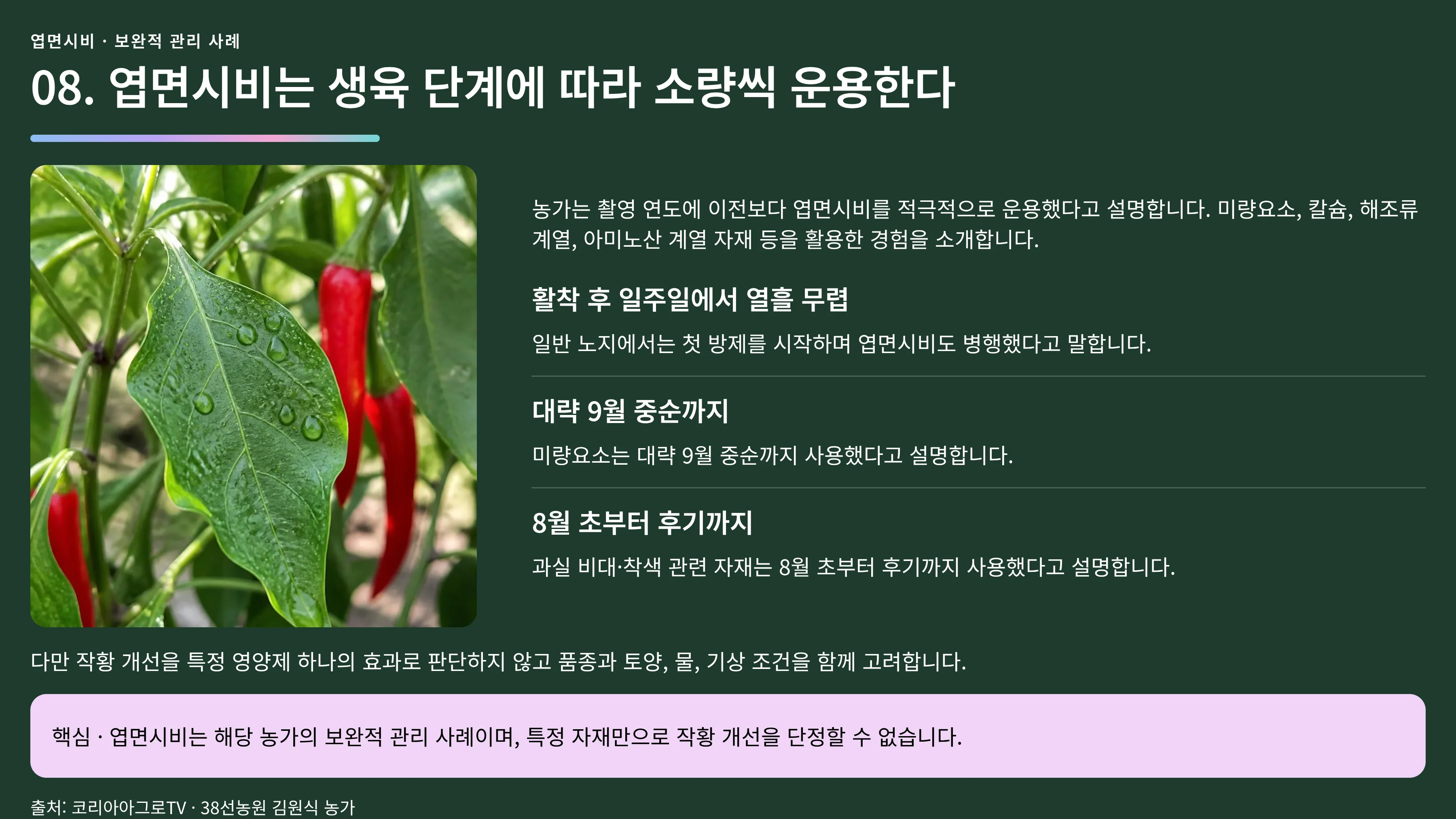 08_생육기_엽면시비.webp