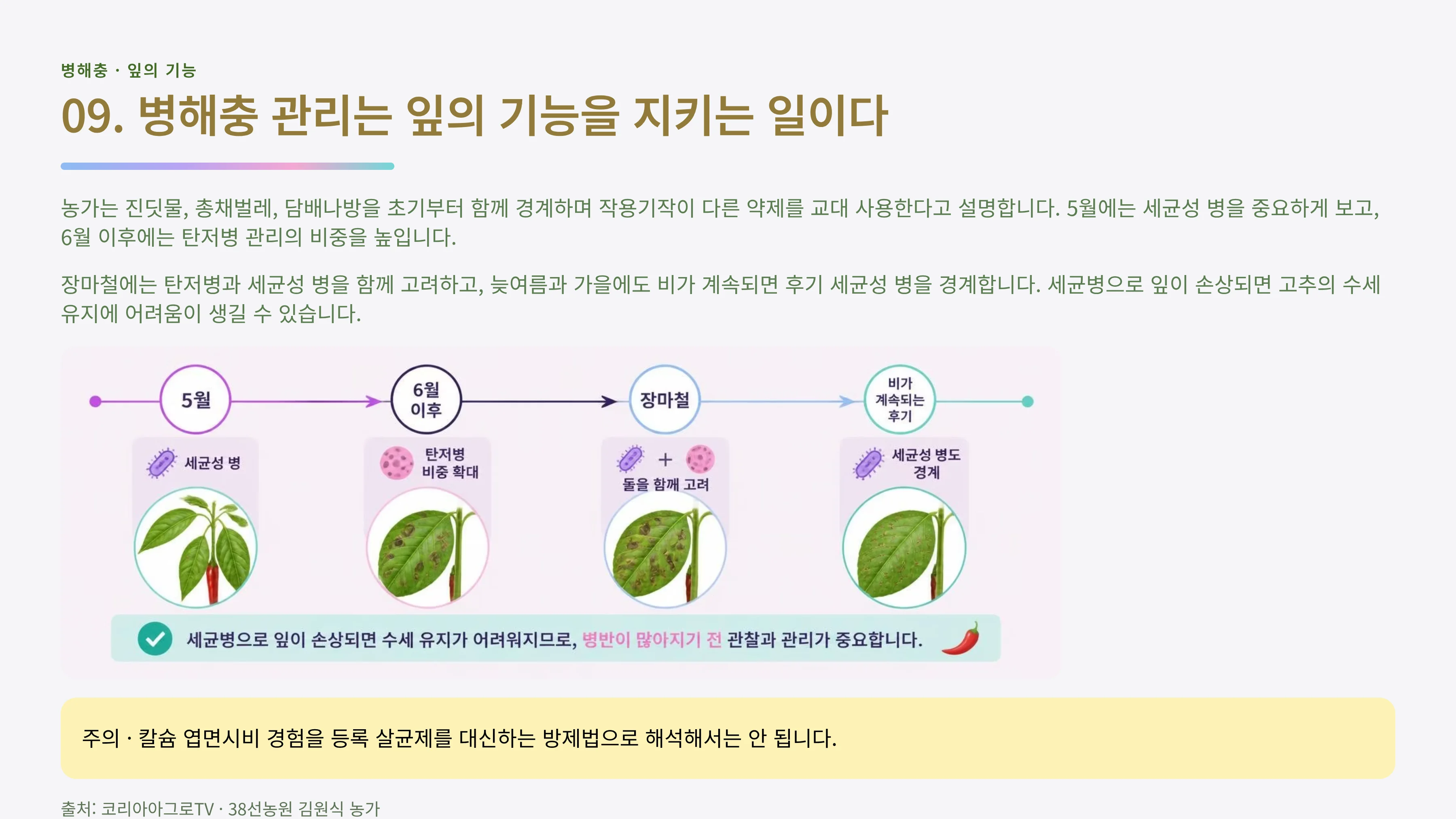 09_병해충_잎관리.webp