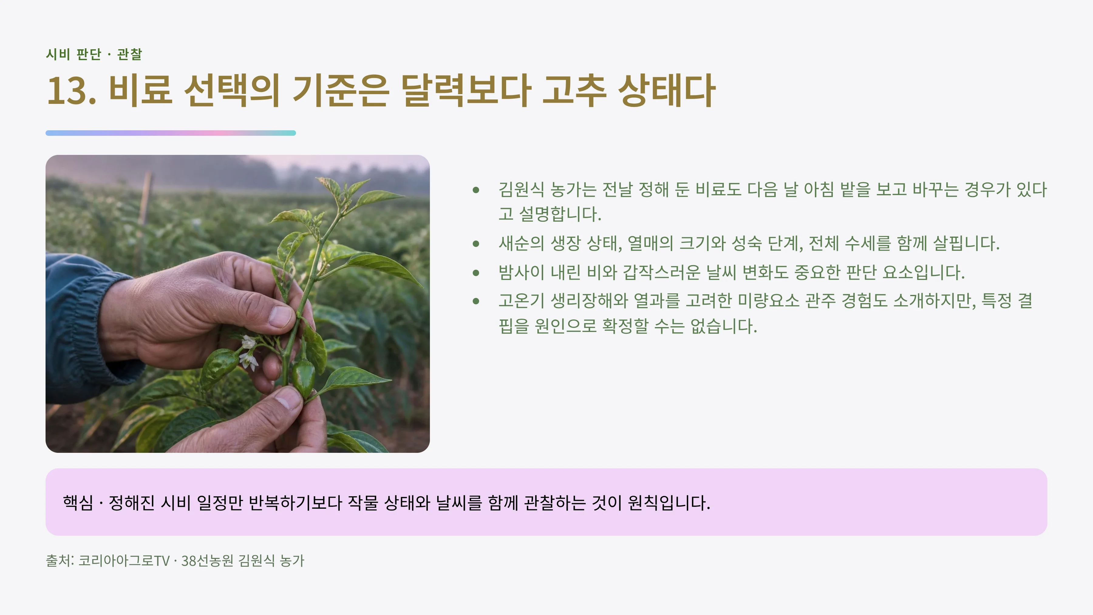 13_작물상태_비료선택.webp