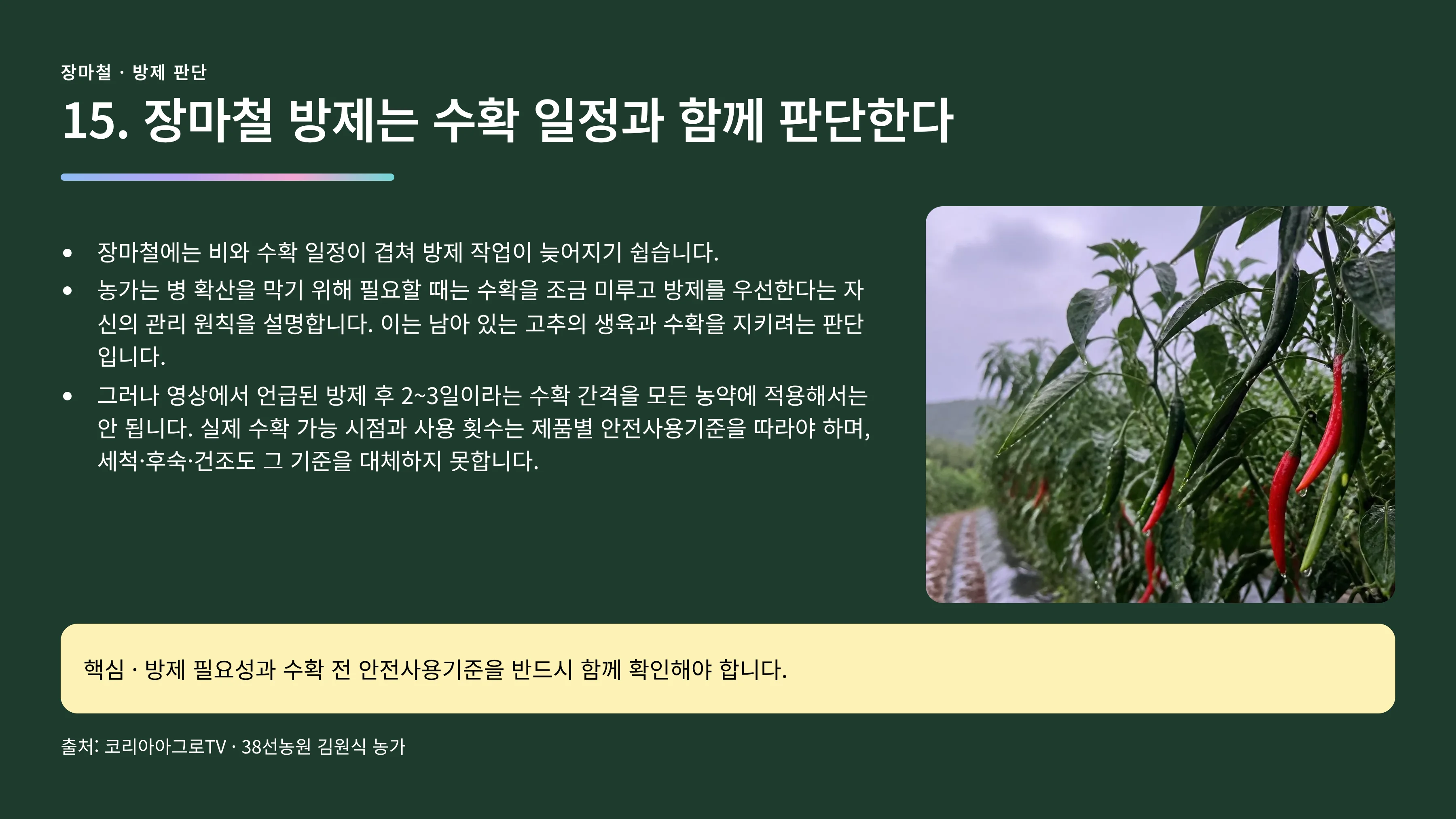 15_장마철_방제_수확.webp
