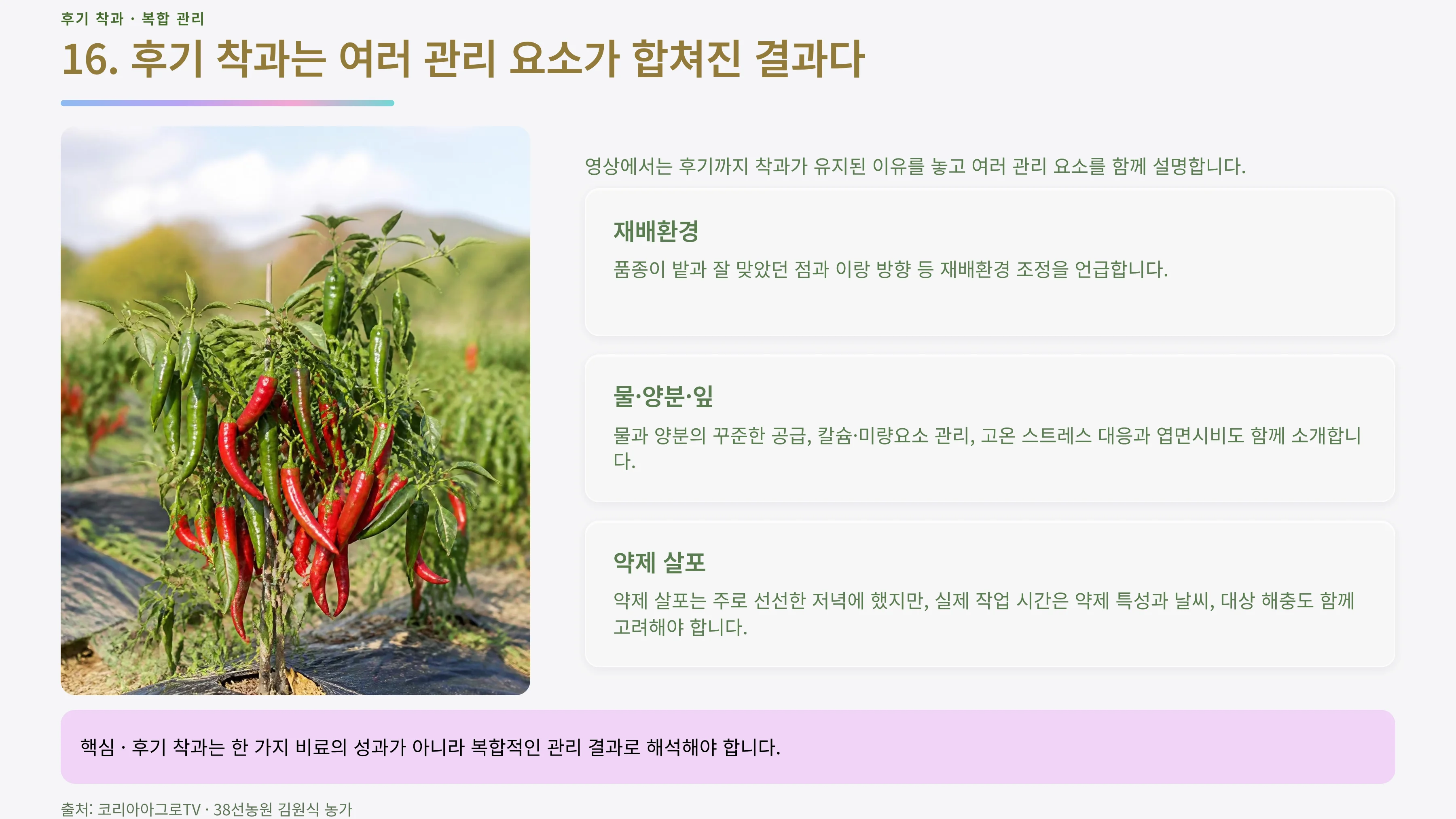 16_후기착과_종합관리.webp
