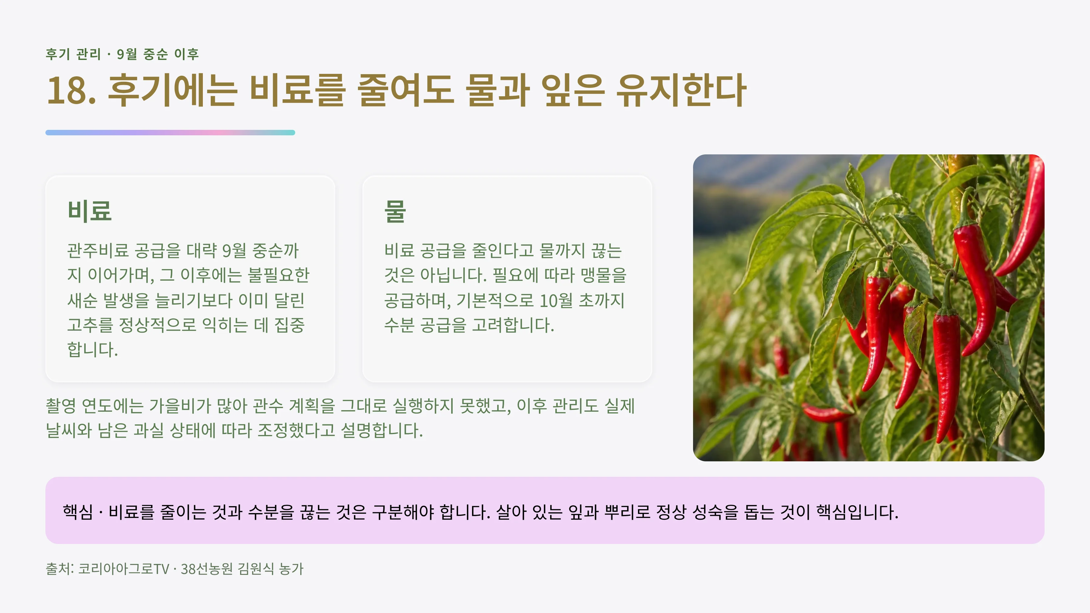 18_후기_비료_수분.webp