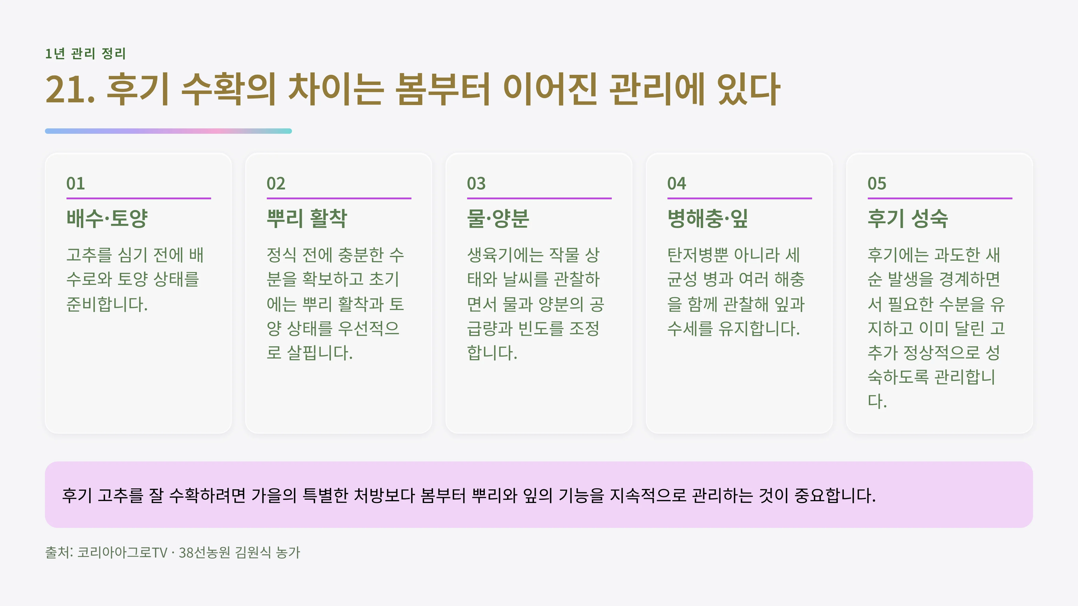21_고추재배_핵심요약.webp